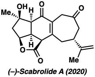 scabrolide.jpeg