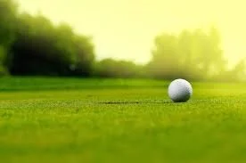 golf turf.jpg