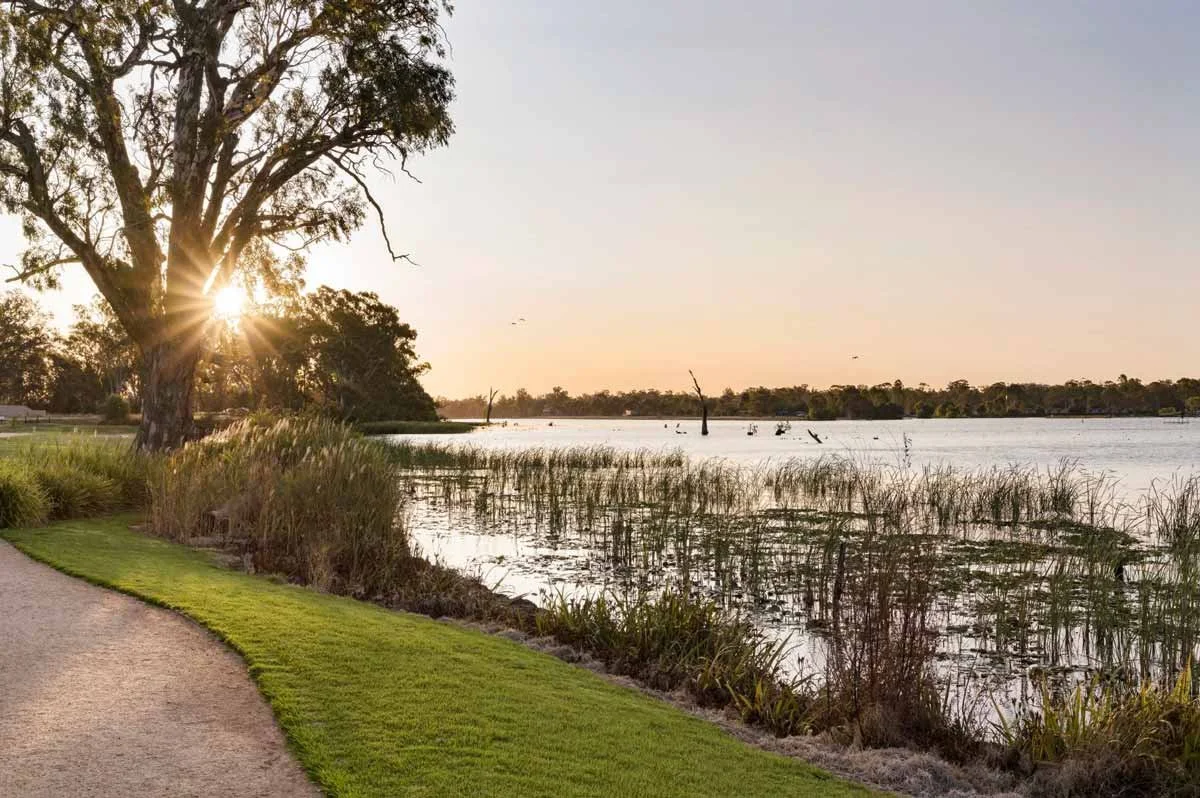 Sunset over a lake with tall grass, trees, and a pathway in the foreground.