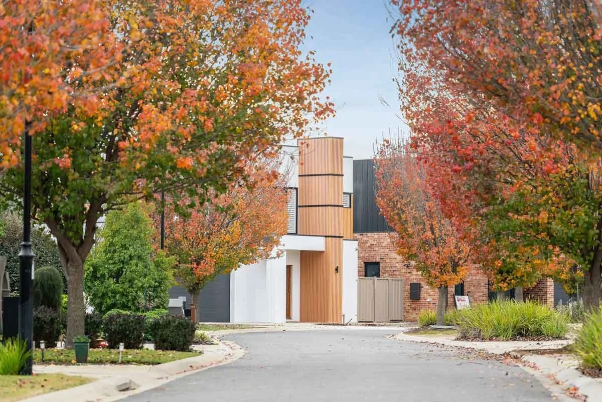 Residential street with autumn-colored trees and a modern house with a mix of white, brick, and wooden exterior