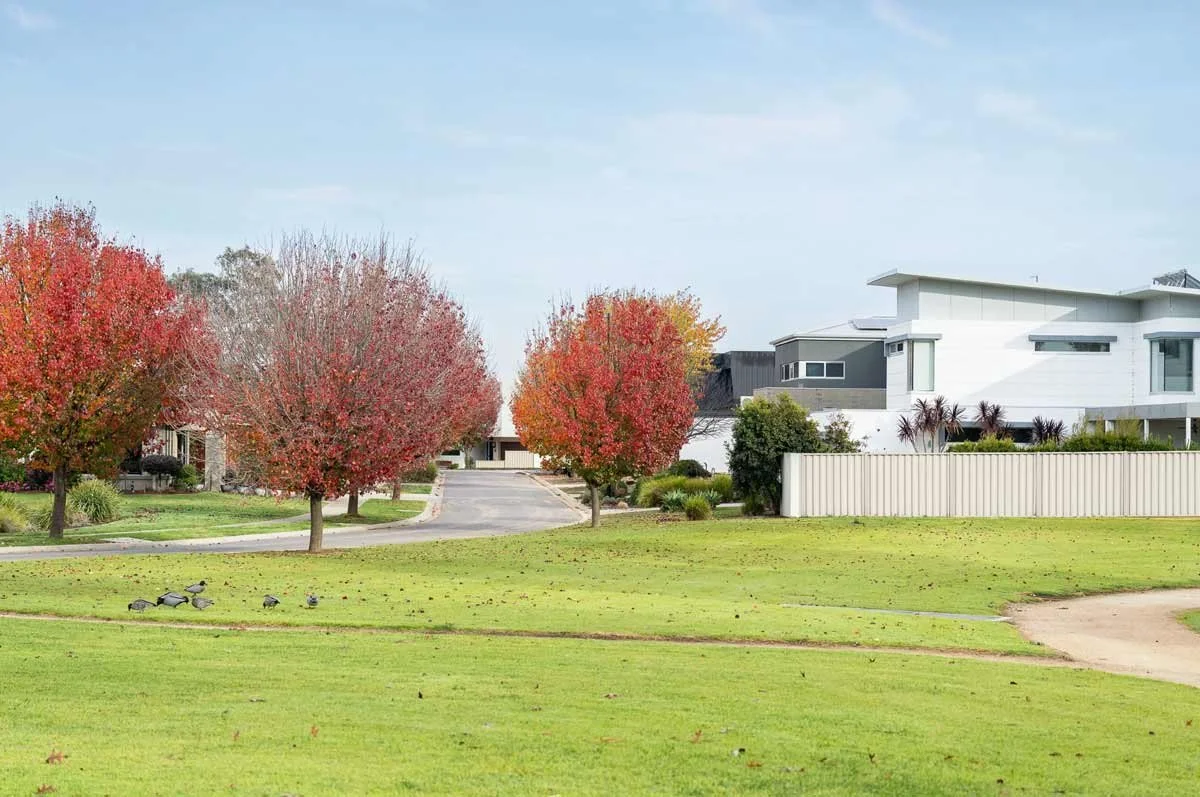 Residential neighborhood with colorful autumn trees, modern houses, a grassy park area, and a few ducks on the grass.