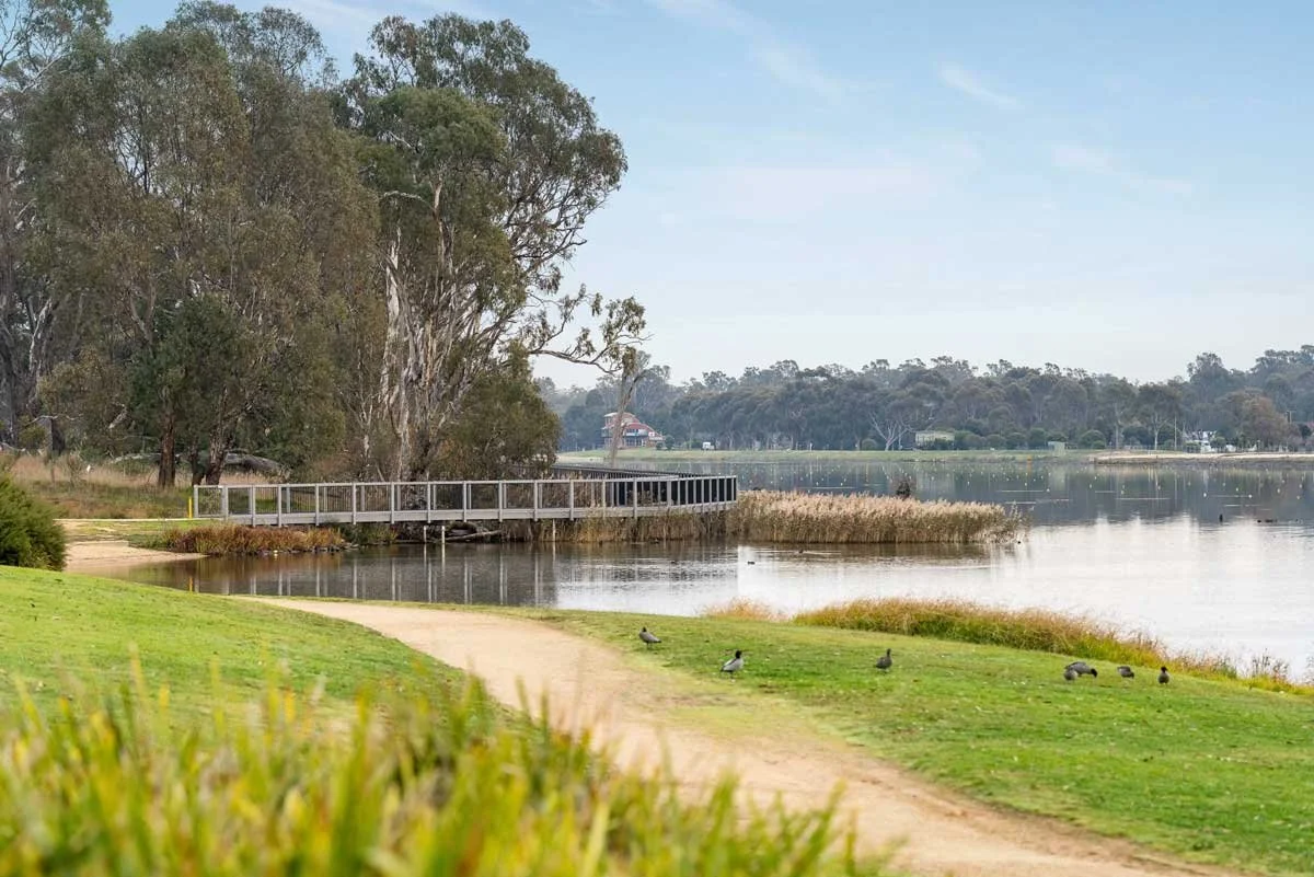 A lakeside scene with a sandy walking path, green grass, and several ducks on the grass. There is a wooden footbridge crossing the lake and tall trees lining the shoreline. A house is visible in the background across the lake, with a light blue sky a