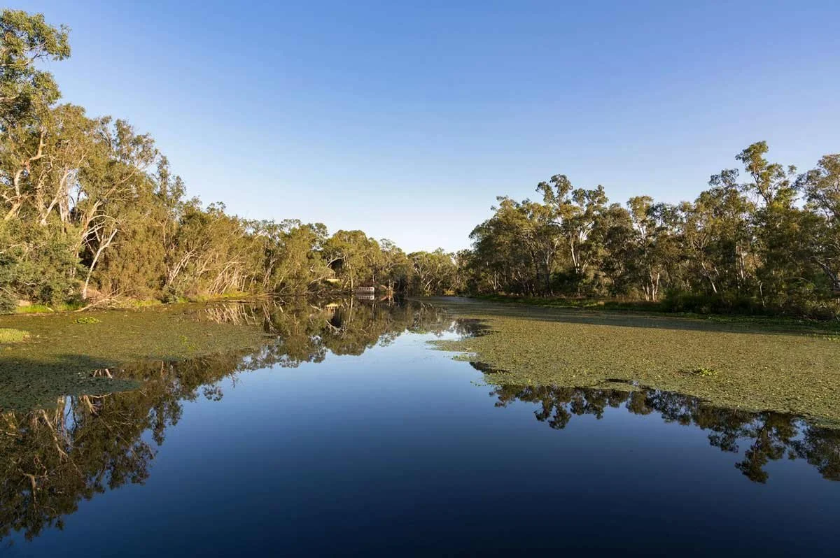 A calm river with green vegetation on both sides, reflecting the trees and the clear blue sky.