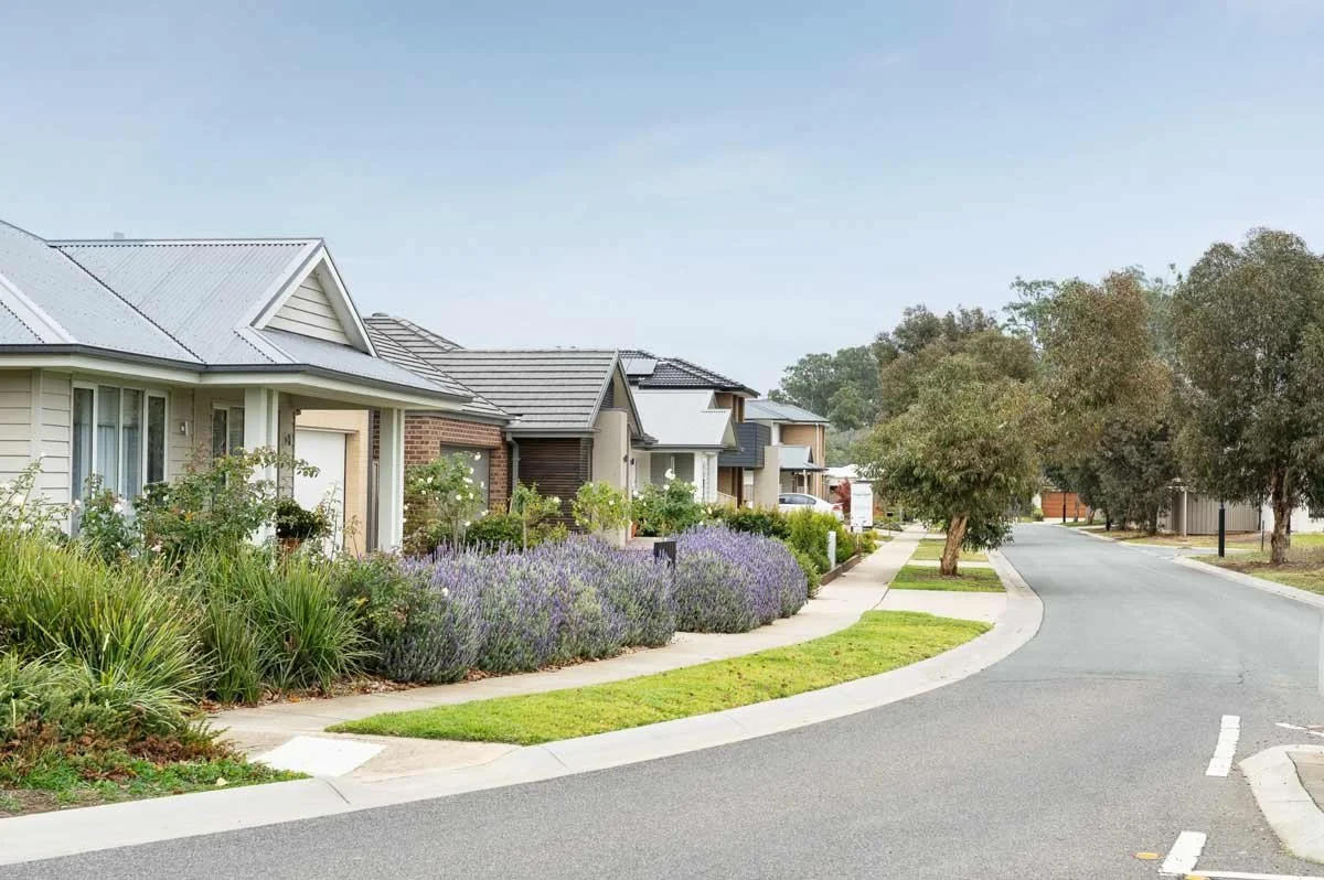Residential suburban street with modern houses, lush green lawns, colorful flowering plants, and trees along the sidewalk.
