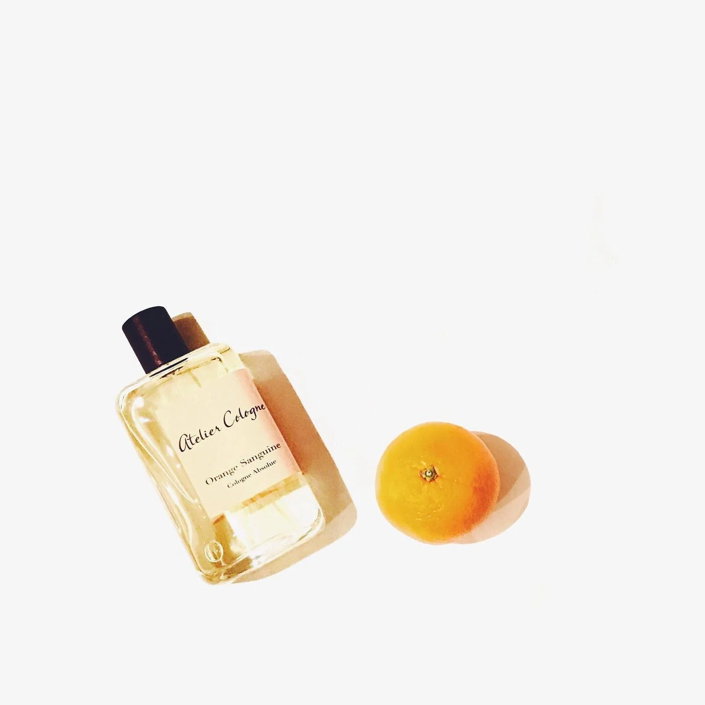 Live in winter, mind in summer.
#ateliercologne