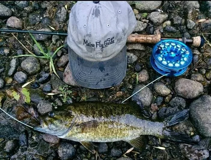 Androscoggin Fly Fishing Guides — MAINE FLY GUIDE