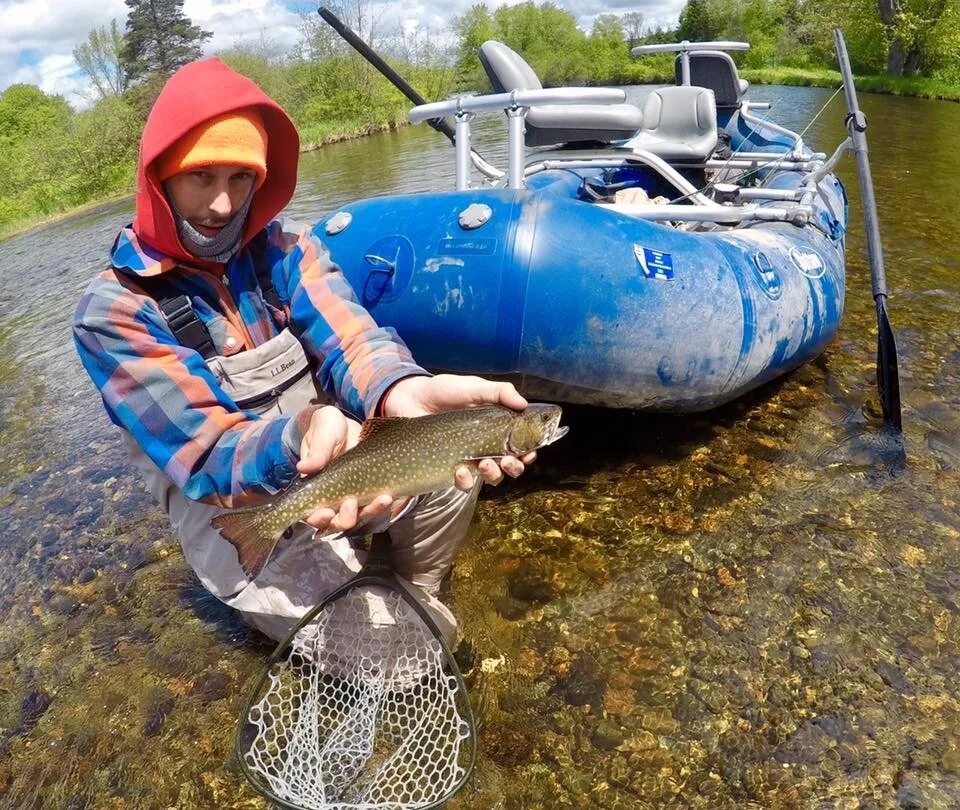 Magaloway River Fly Fishing Guide