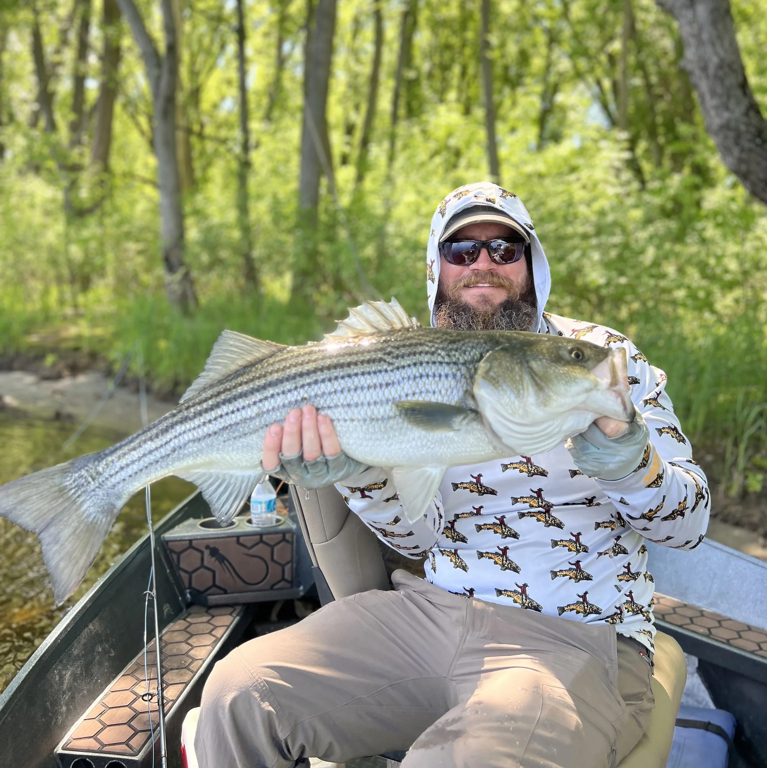 Kennebec River, Maine | Guided Boat Trip | Shad + Stripers