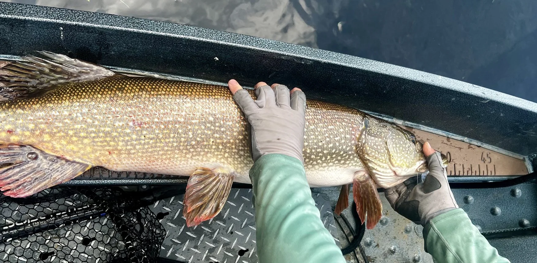 Lower androscoggin fishing guide trip3.jpeg