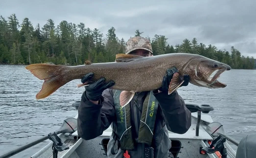 Maine Fishing Guide Brandon Bichrest with a 33" Lake trout caught on a Fly in Maine in May