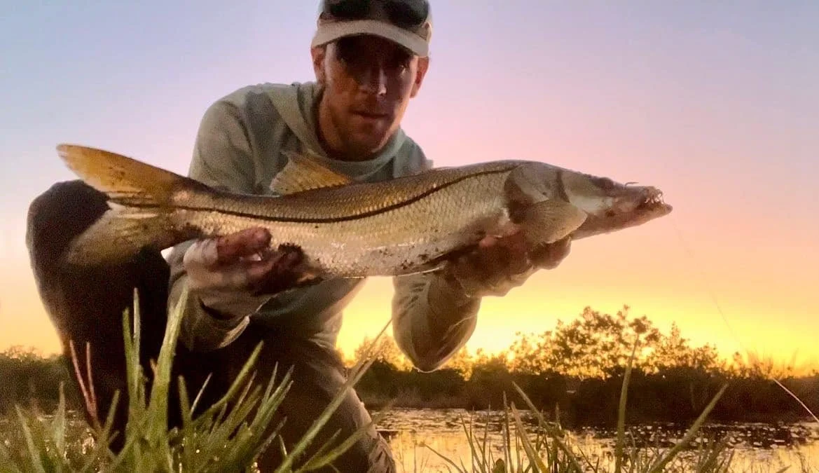 Maine Fishing Guide Brandon Bichrest with a Snook Caught on a fly Everglades Florida