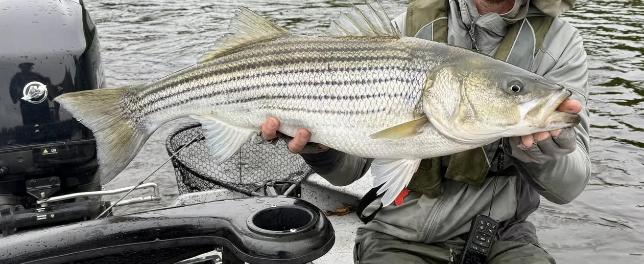 506486343_1155657869697216_3196875014256569199_n.jpg (Copy)