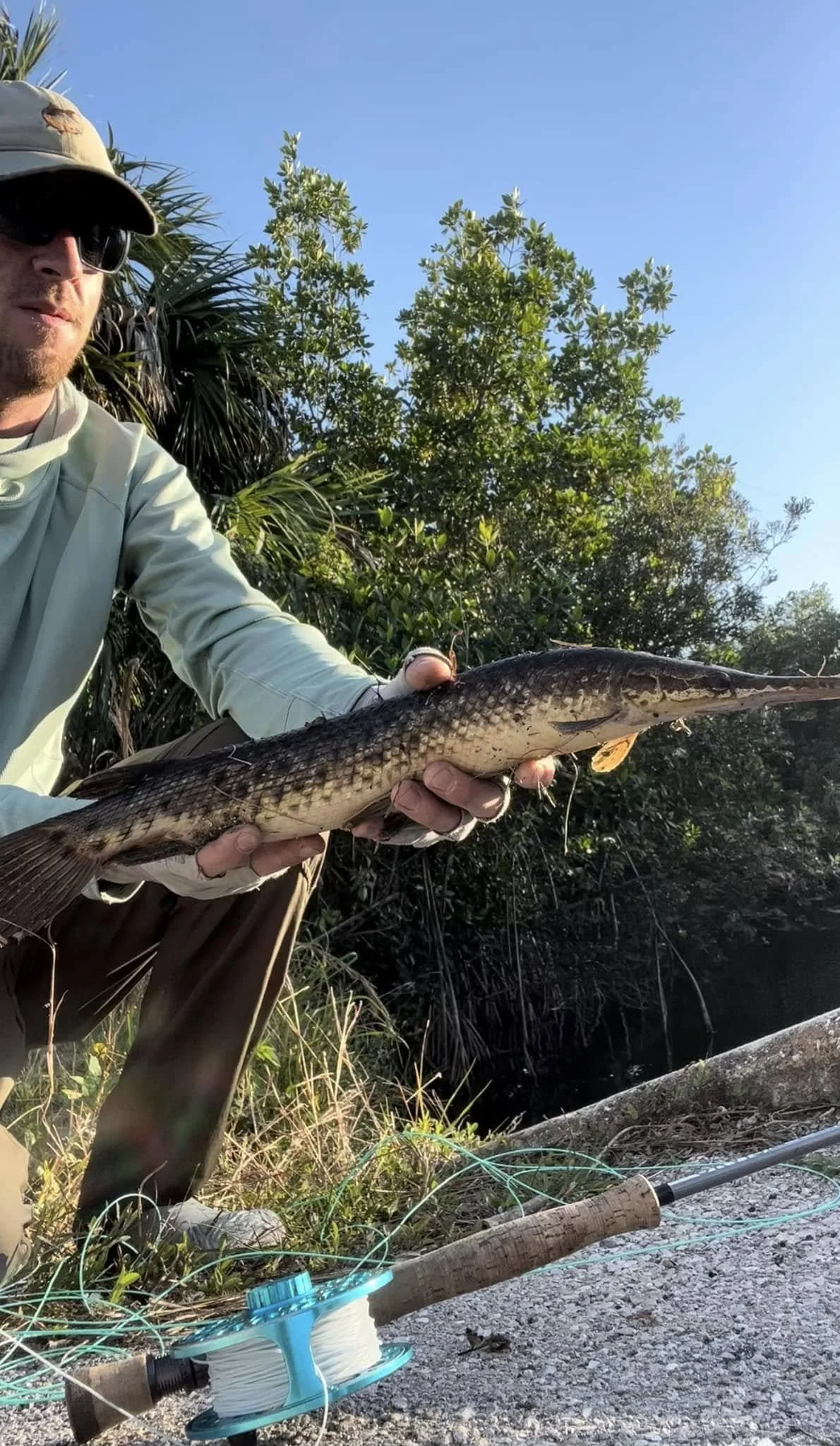 Maine Fishing Guide Brandon Bichrest with a Florida gar caught on a fly in the Everglades