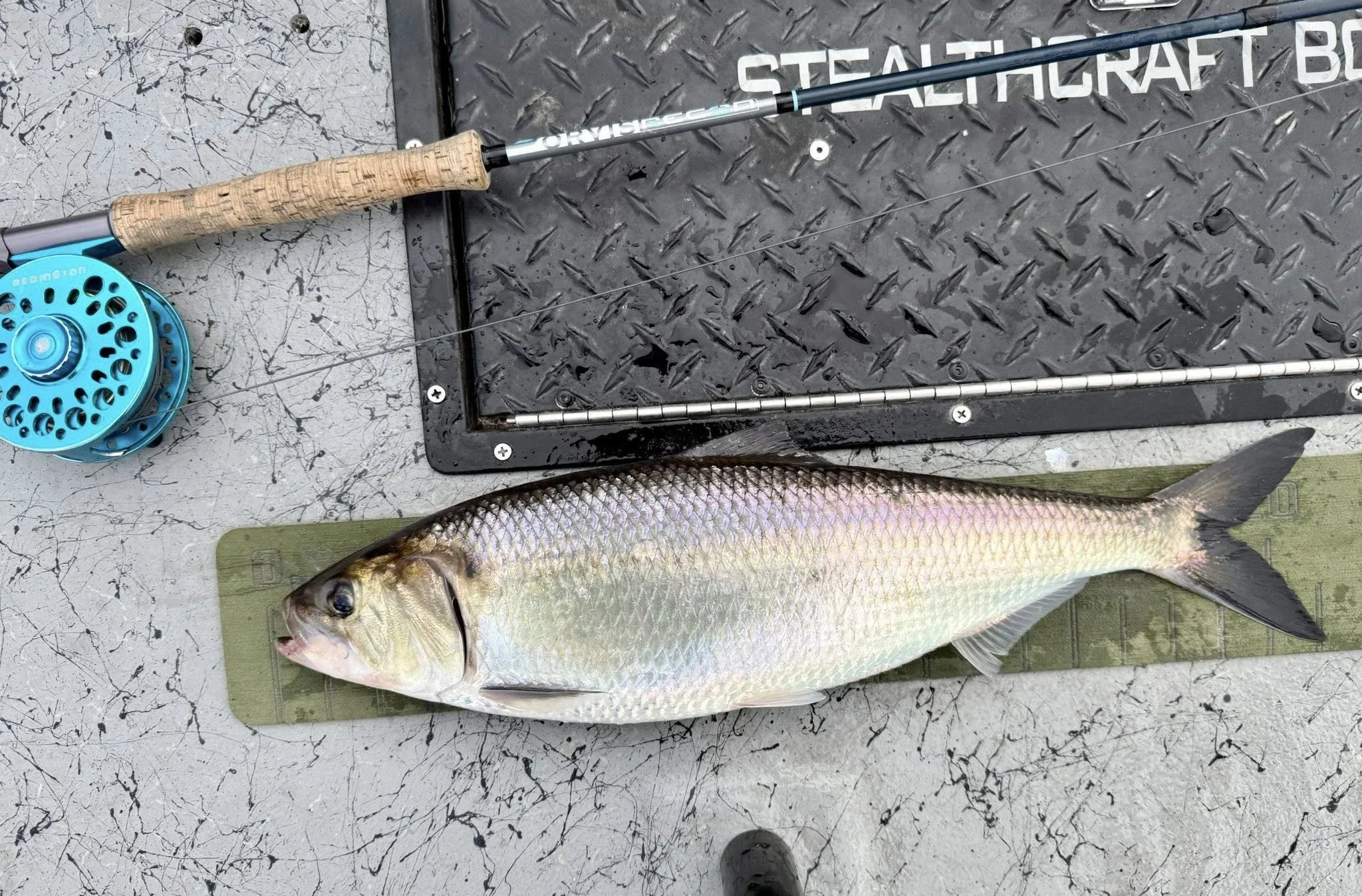 502906289_1144193574176979_7894075018753102381_n.jpg (Copy)