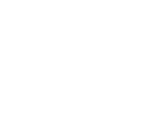 Australian Airports Association