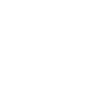 SafeT360