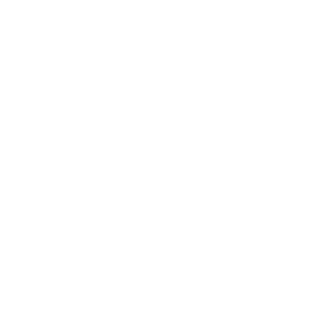 future_gov.png