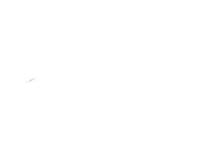 Seeing Machines