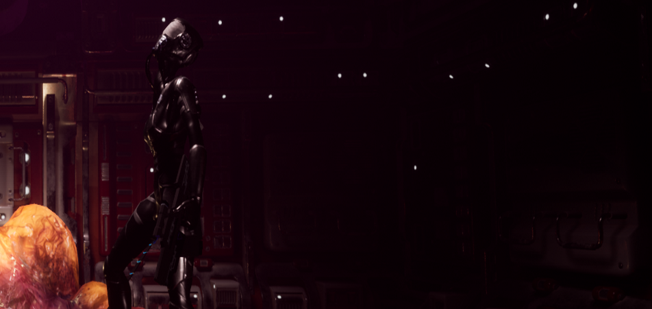 CDBanner.png