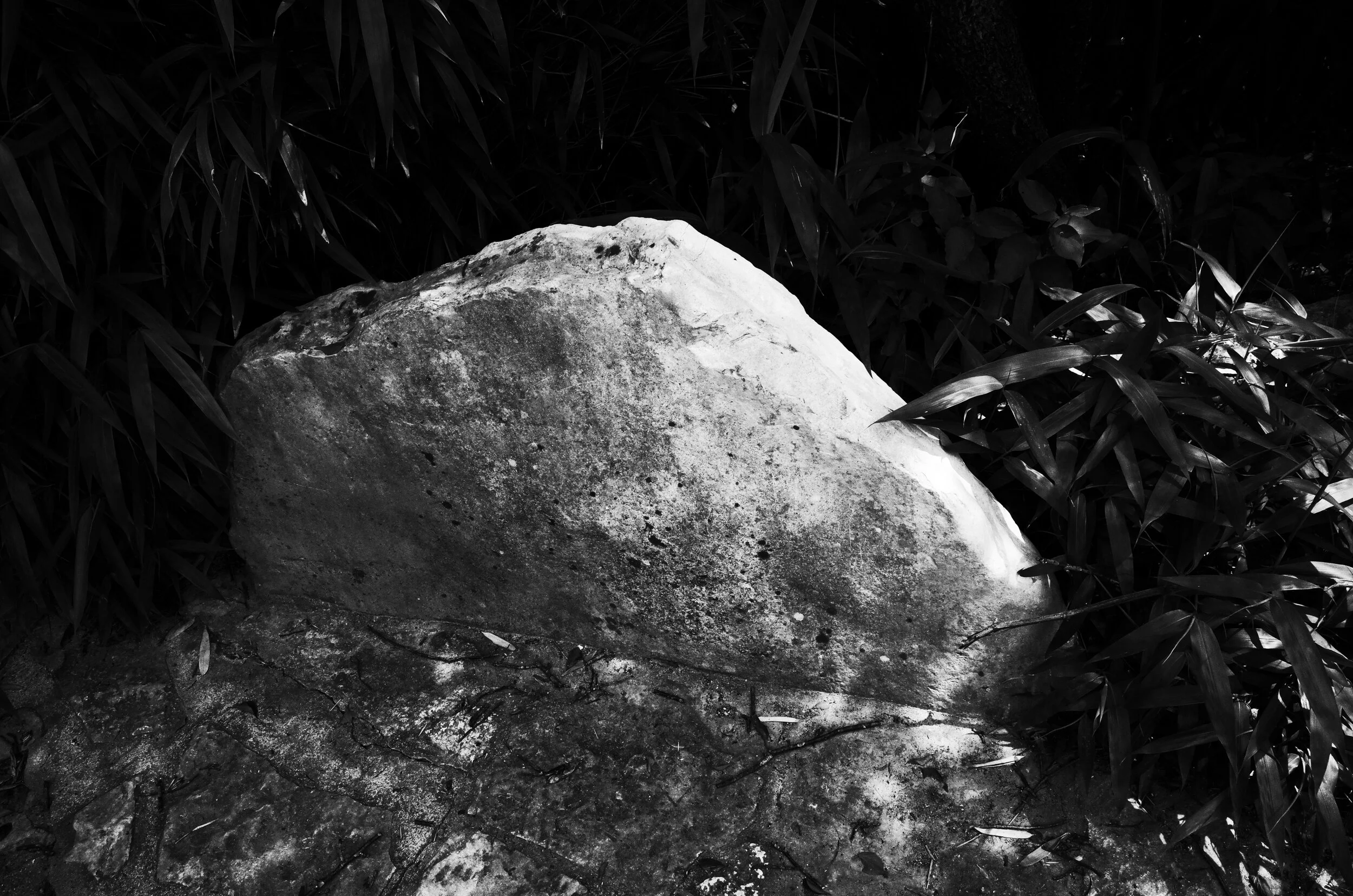 R0050172.JPG