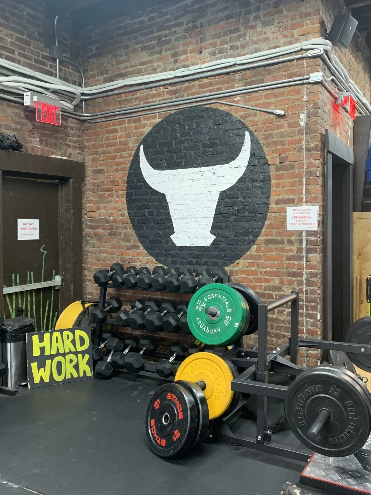 Mural by Nicole Palapoli: bull logo and Hard Work lettering in a gym