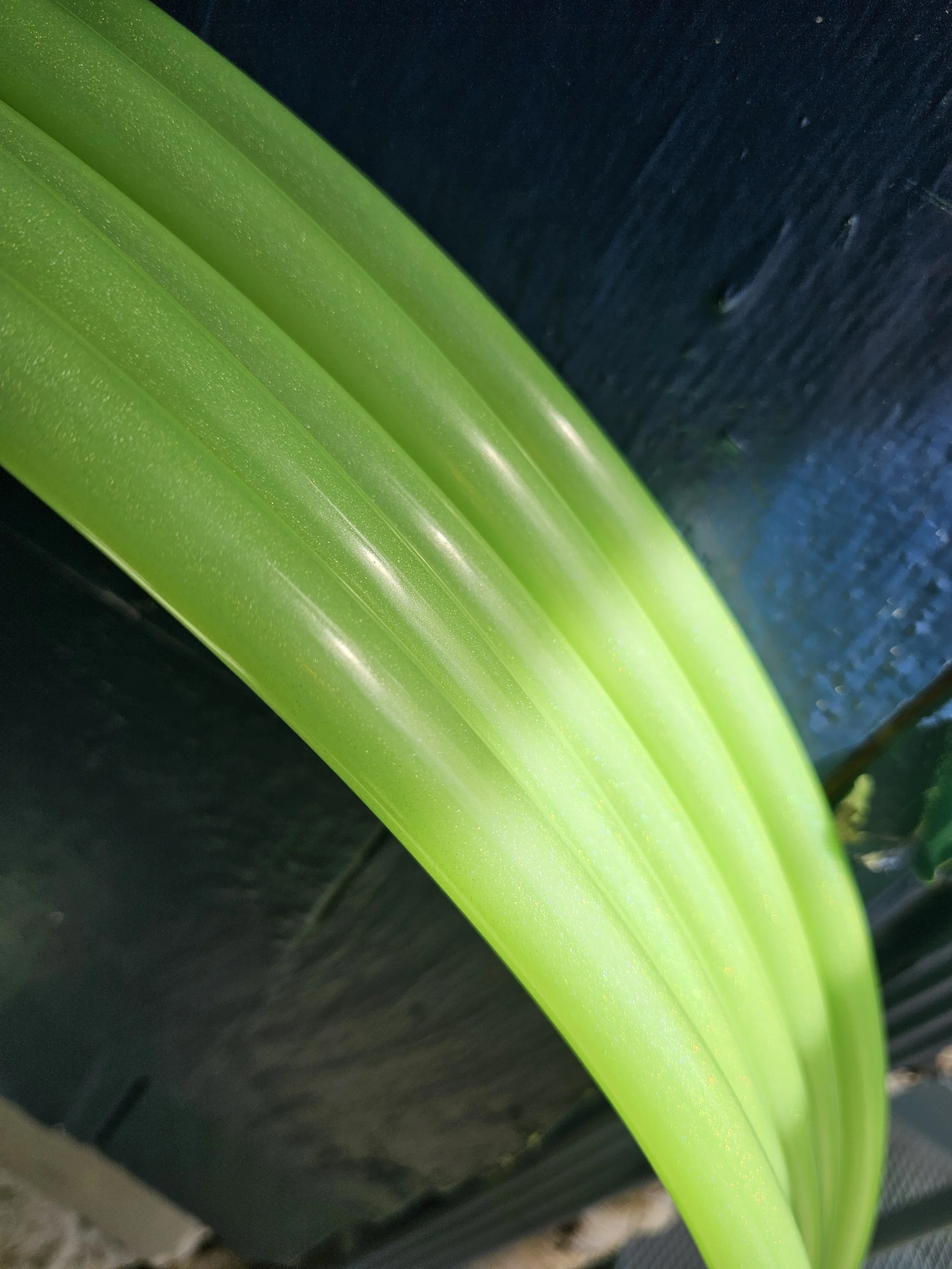 1000047435.jpg