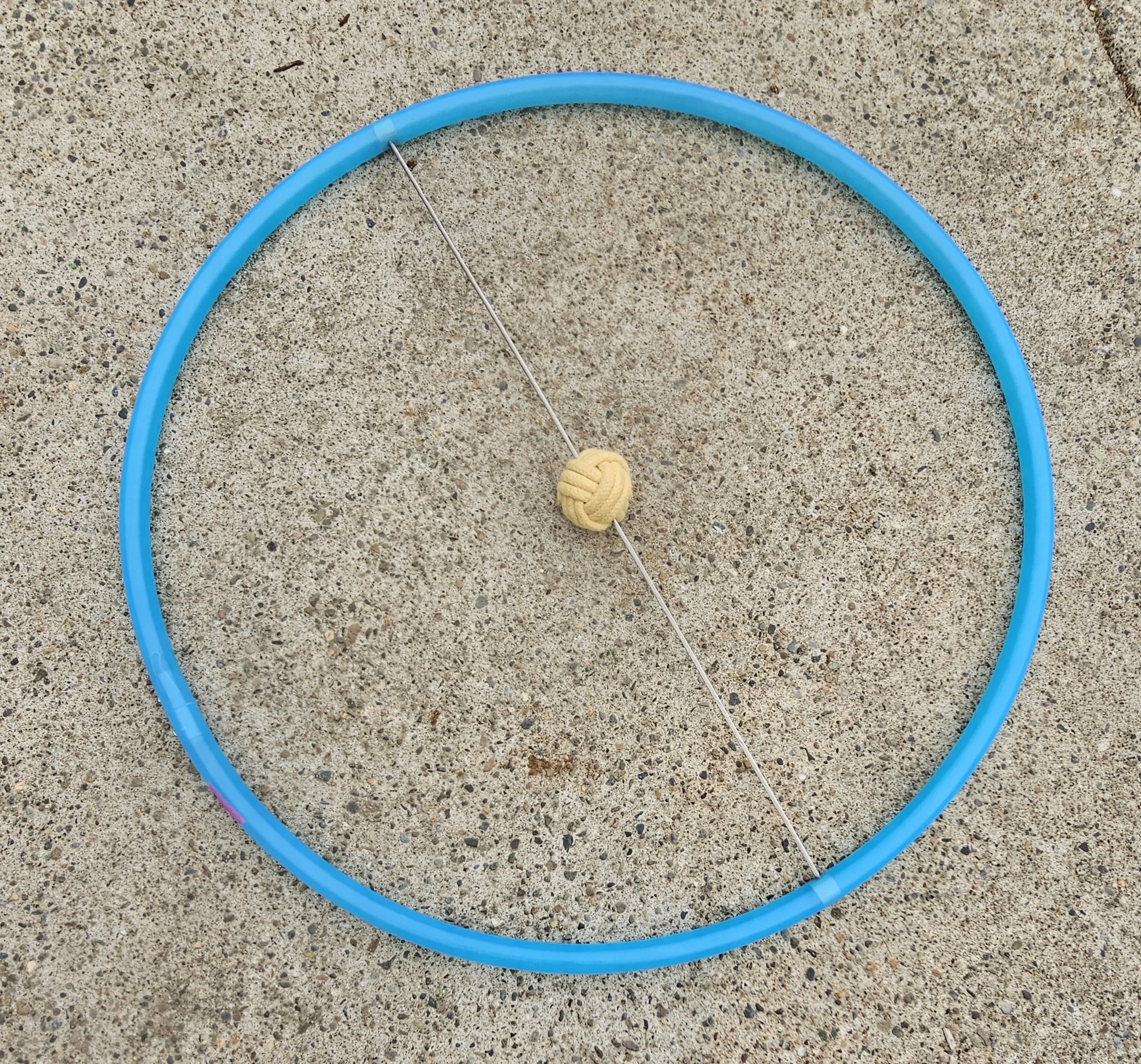 1000049669.jpg