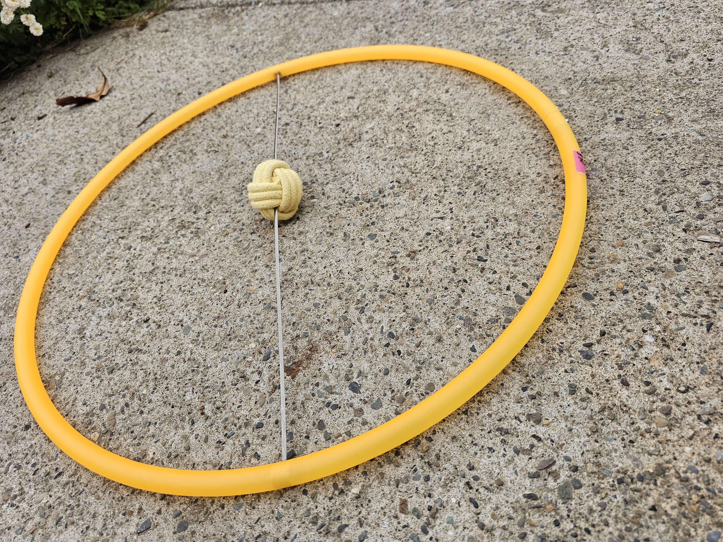 20260923_145438.jpg