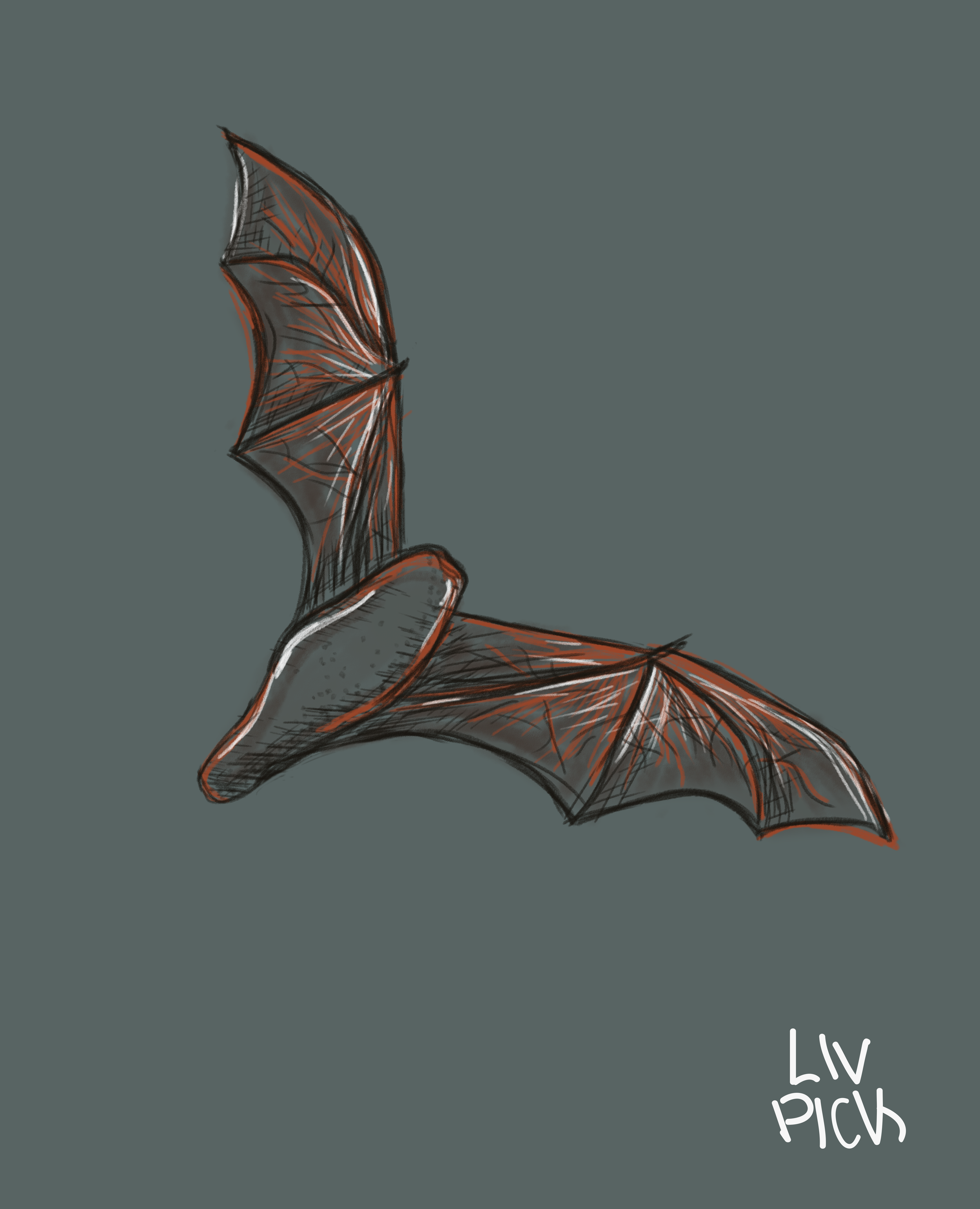 Inktober Day 3 - Bat