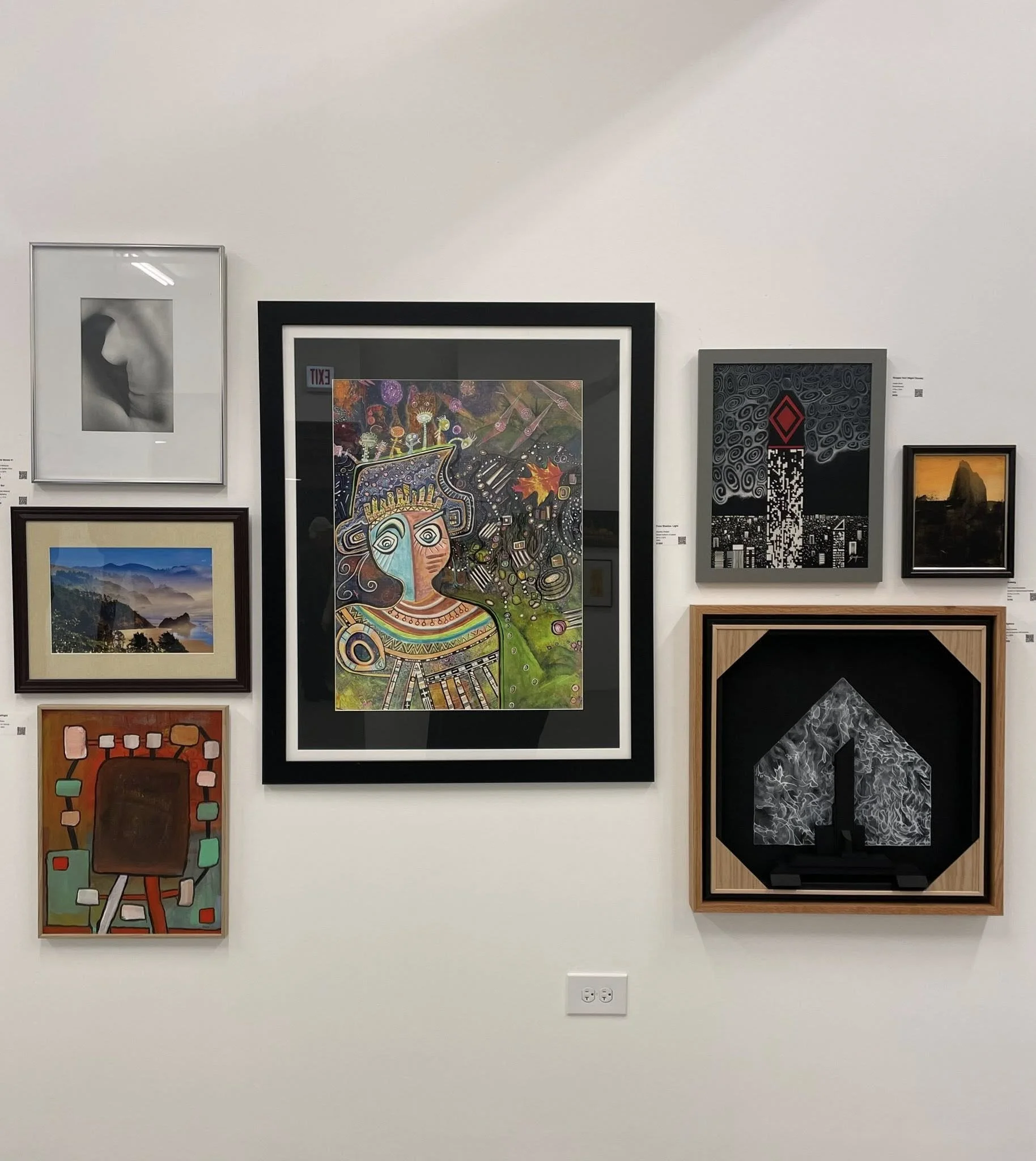 Chicago Alliance of Visual Artists Annual Members Exhibition 2026 -- Mana Contemporary Chicago