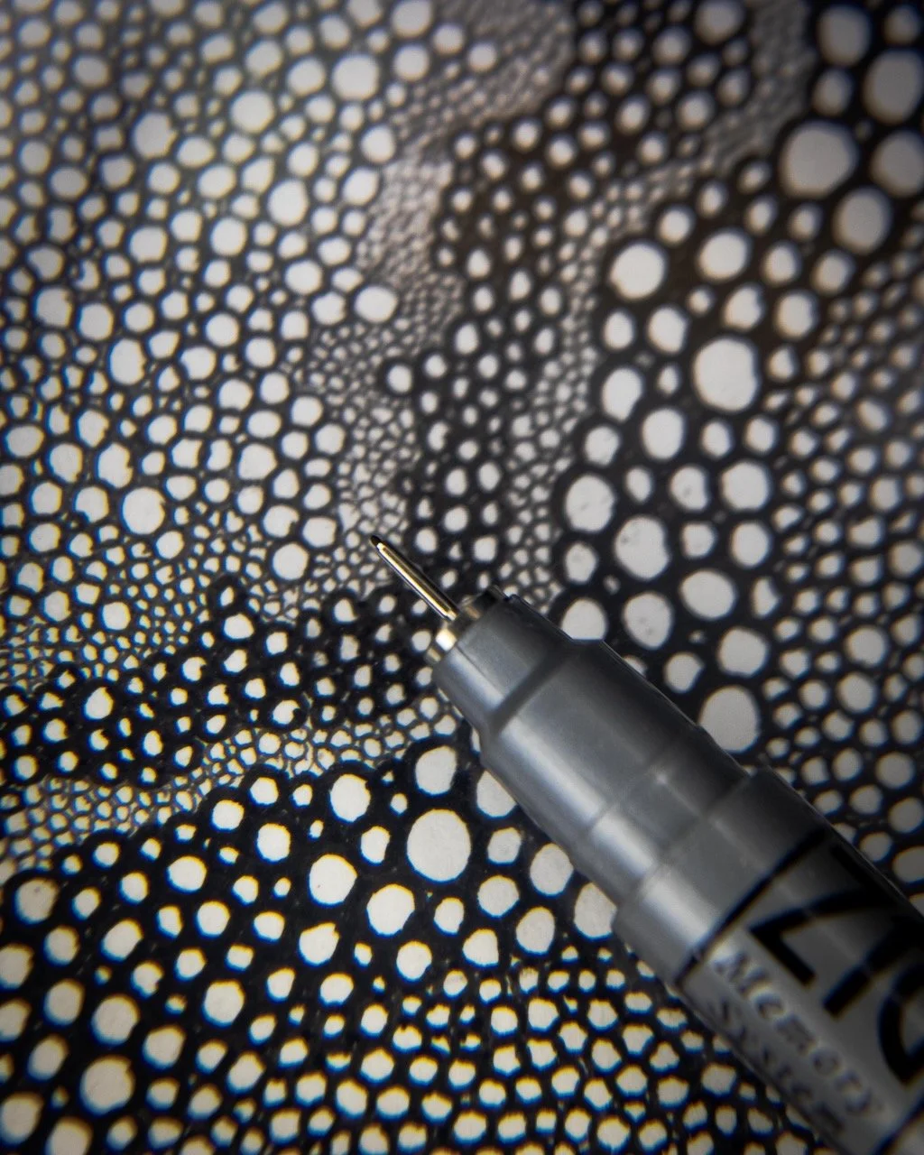 2026 PJ Portfolio27.jpeg