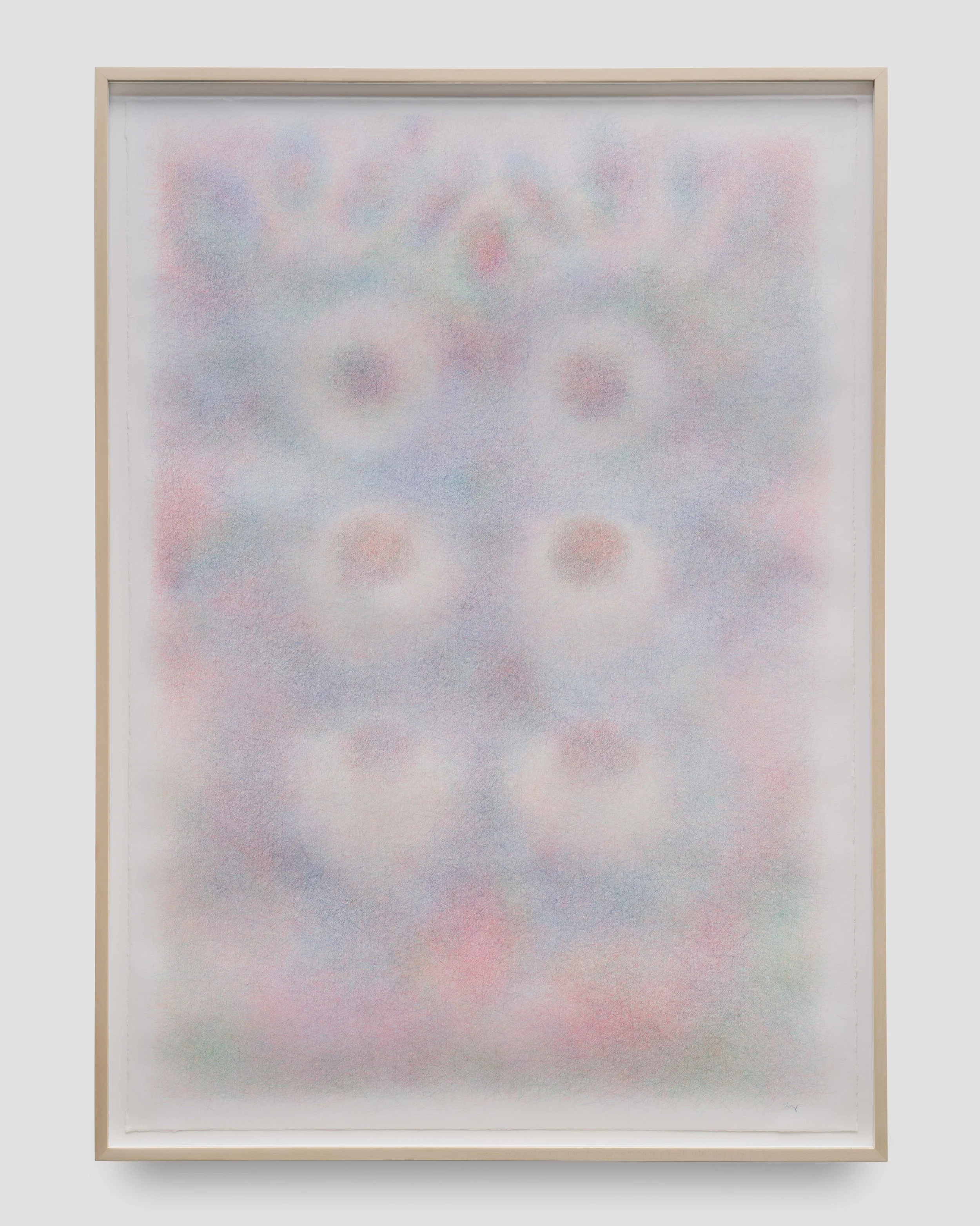 Blue (Iris), 2026, Color pencil on cotton paper, framed, 61 × 42 in