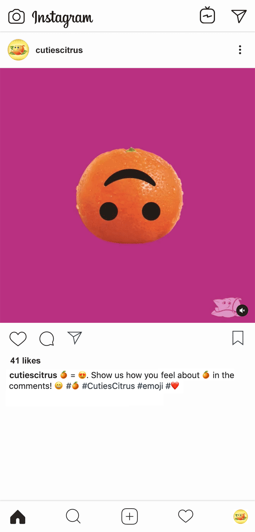 Cuties_Insta_3.gif