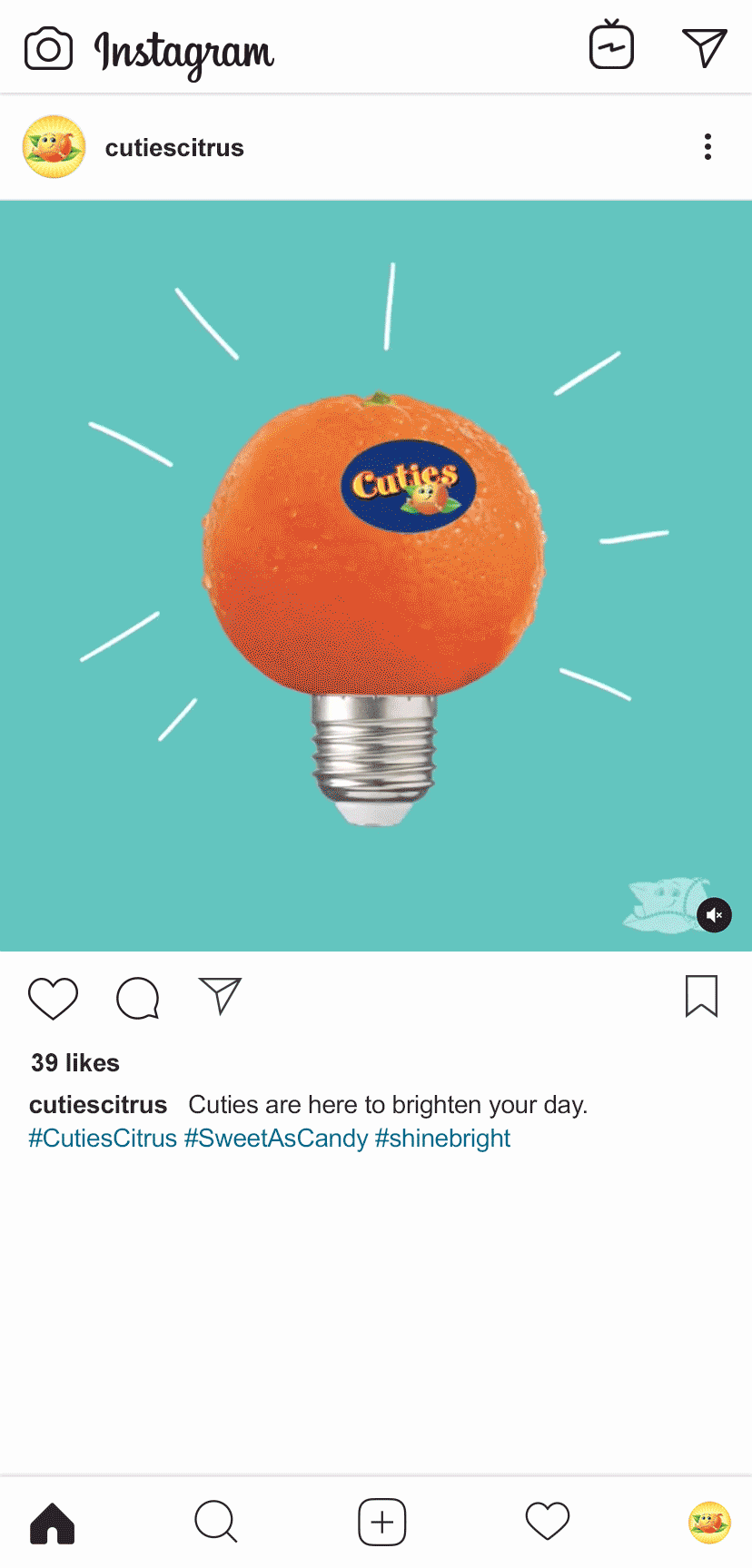 Cuties_Insta_4.gif