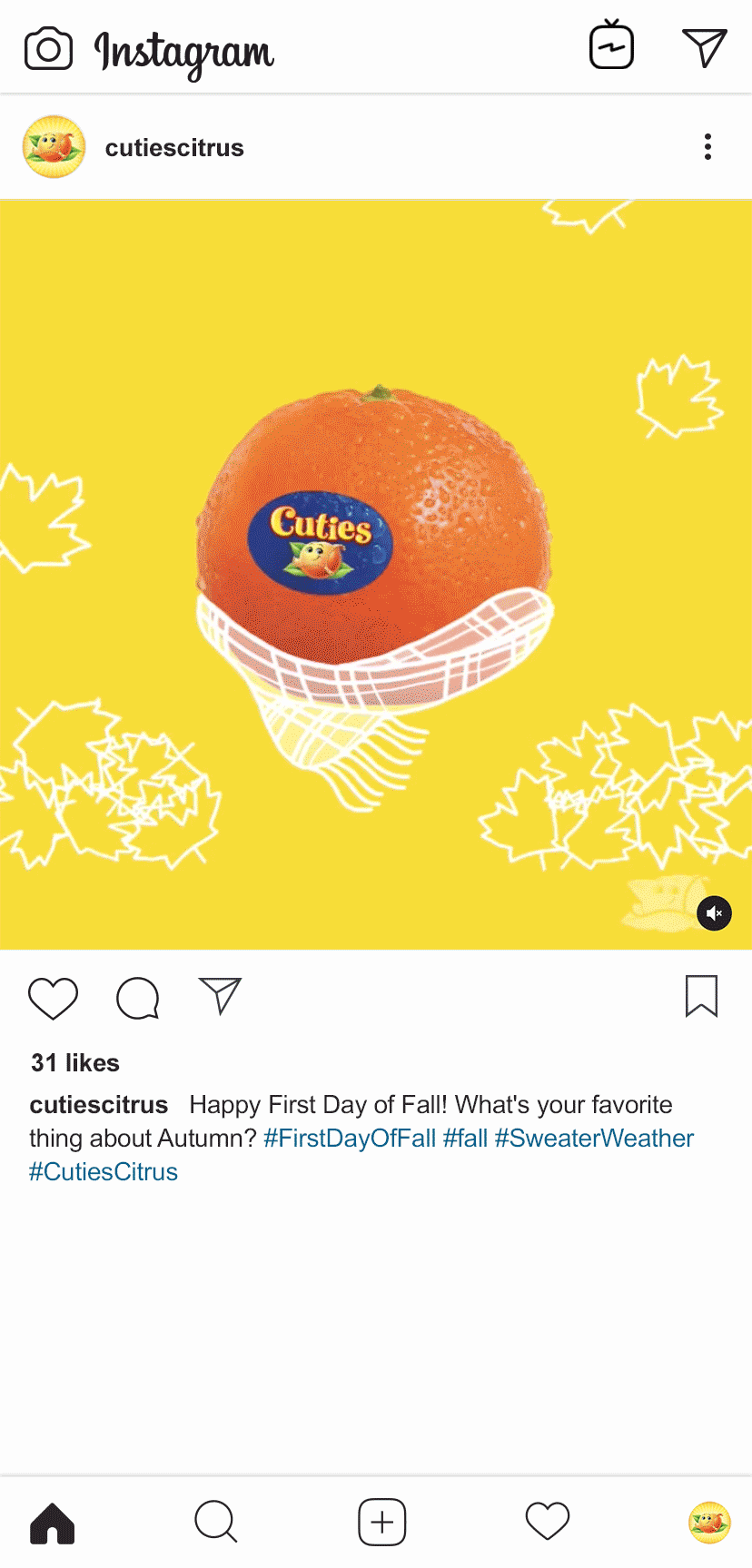 Cuties_Insta_5.gif