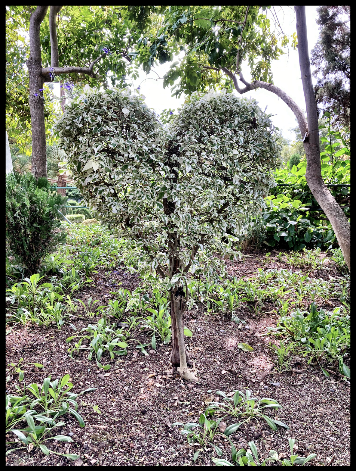 February: Faith as a Gift