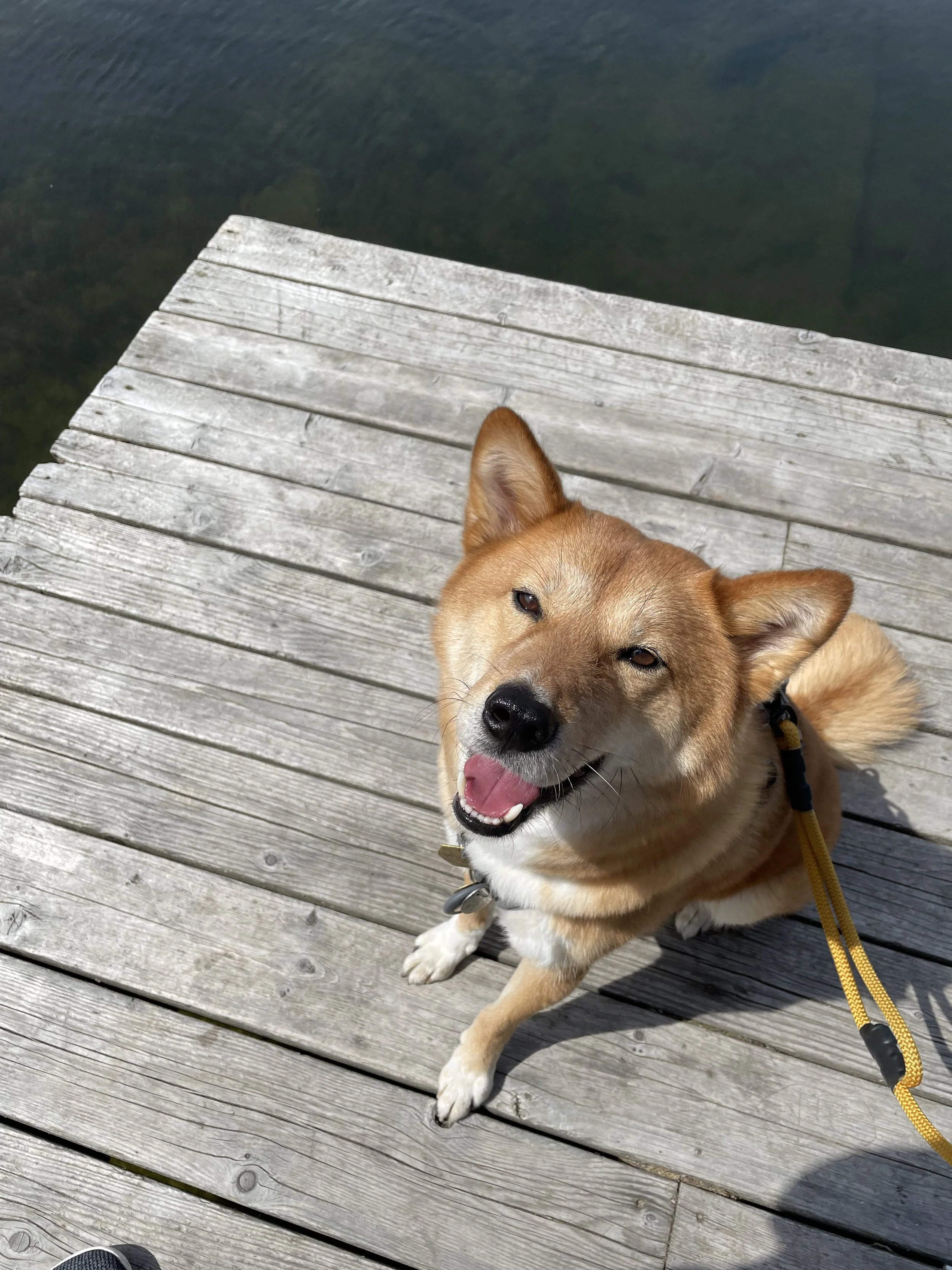 Markus posing on the dock at Nita Lake