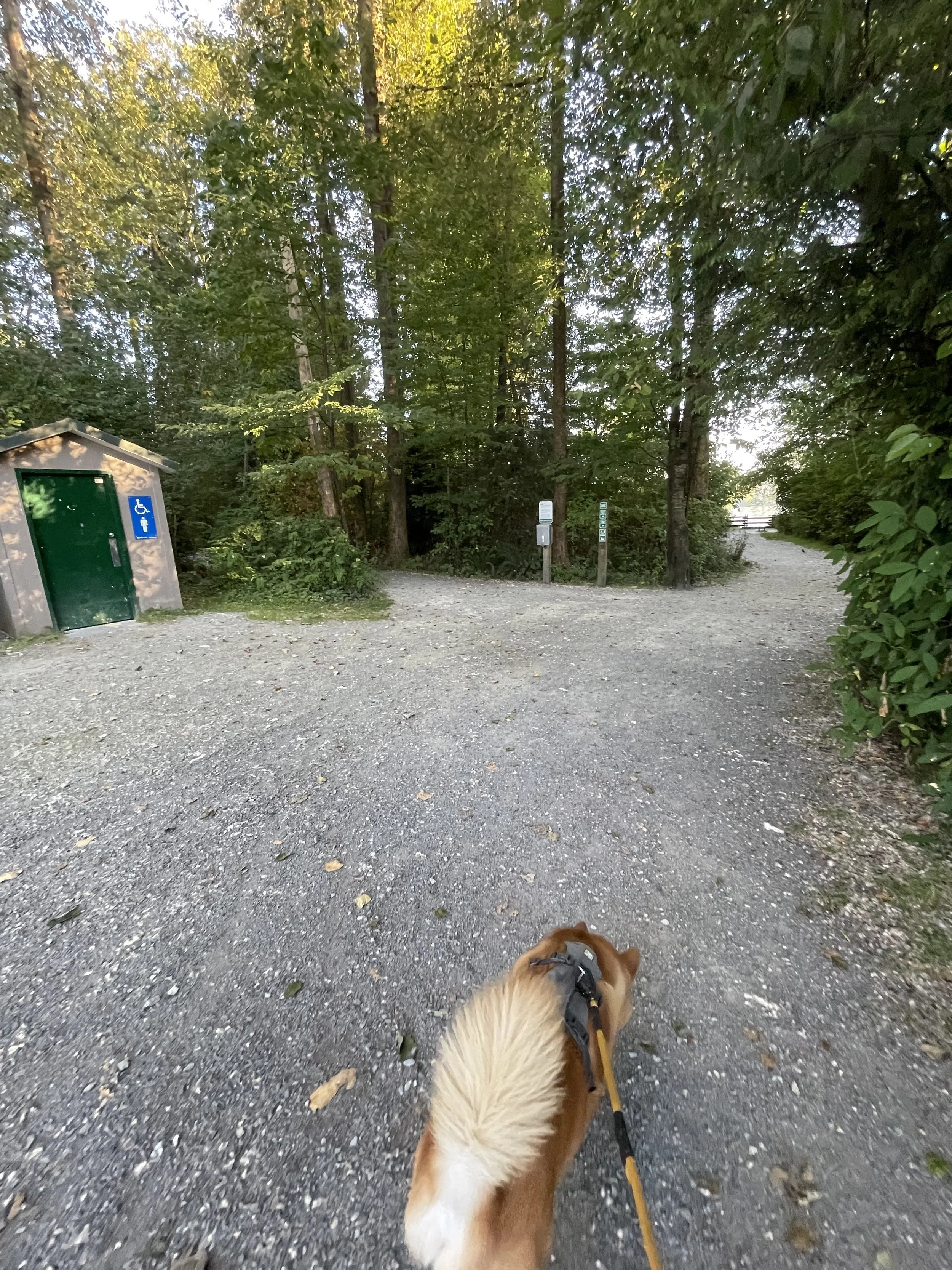 Markus passing by the public outhouses next to the start of the Pitt River Regional Greenway