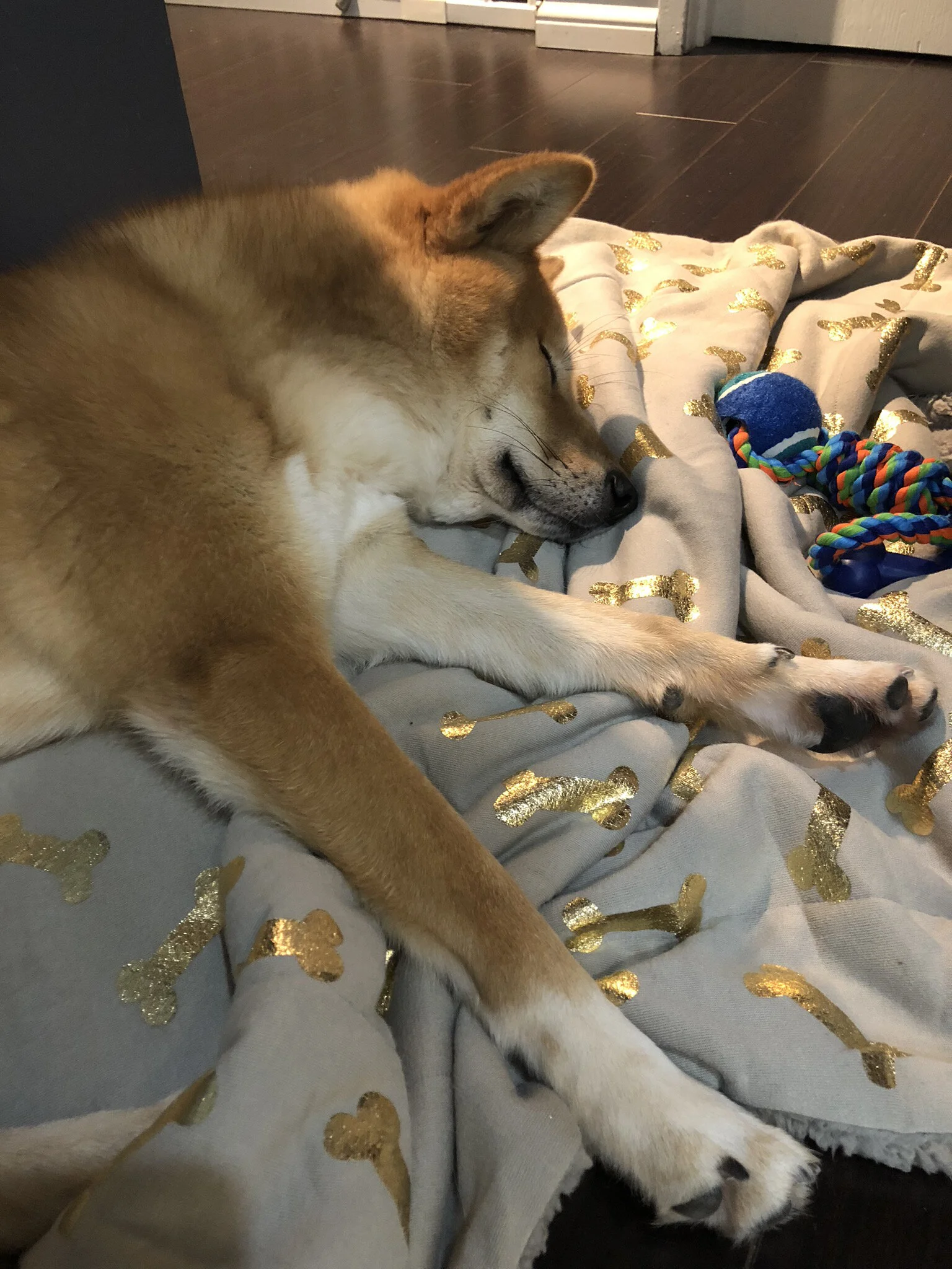 Photo of Markus resting hard after a long trip from Korea, to Seattle and finally Vancouver