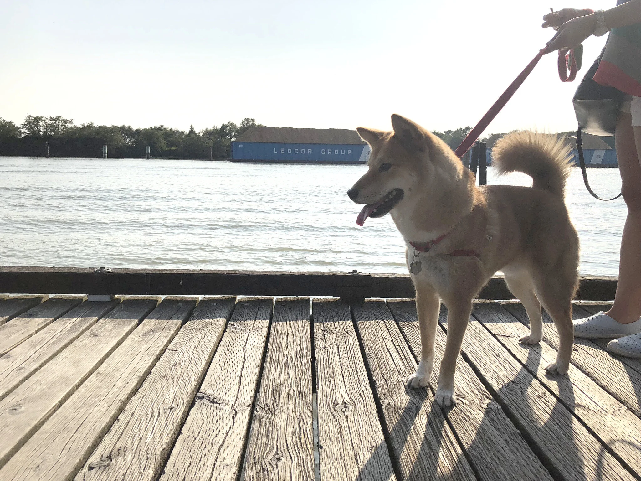 Markus posing on the wooden walkway of Fraser River Park