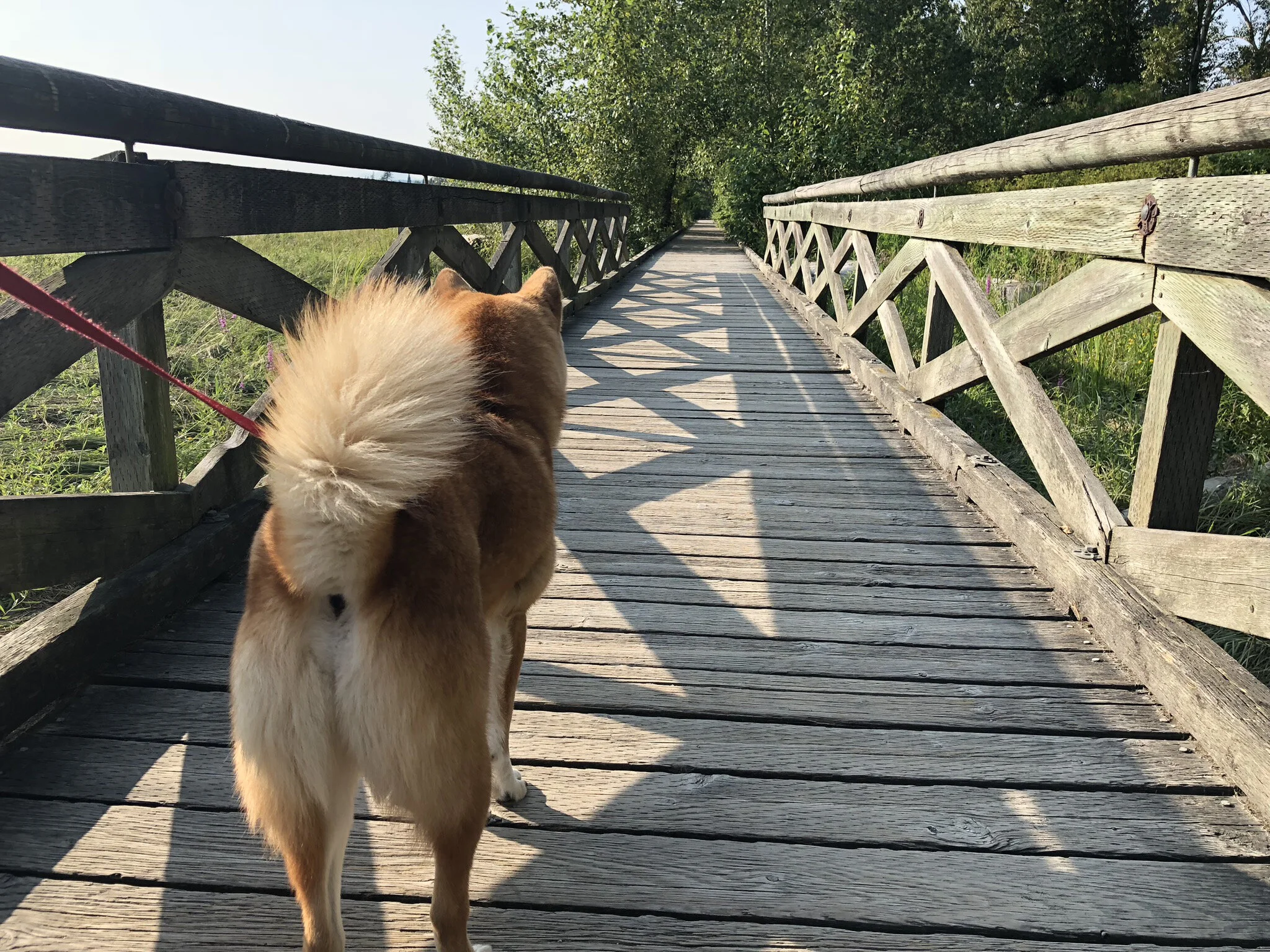 Markus walking along a bridge at the Fraser River Park