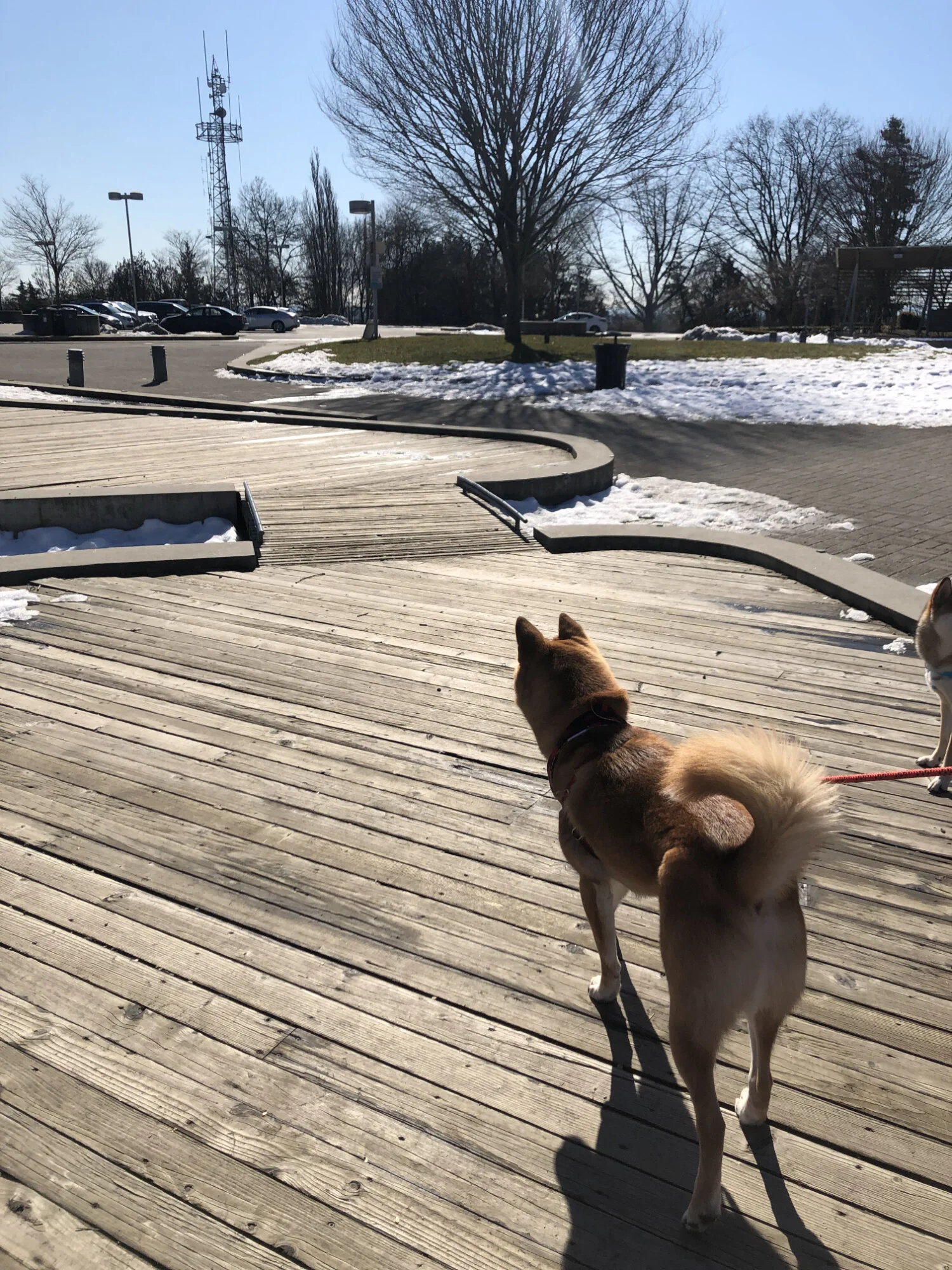 Markus at the top of Queen Elizabeth Park by the Bloedel Conservatory