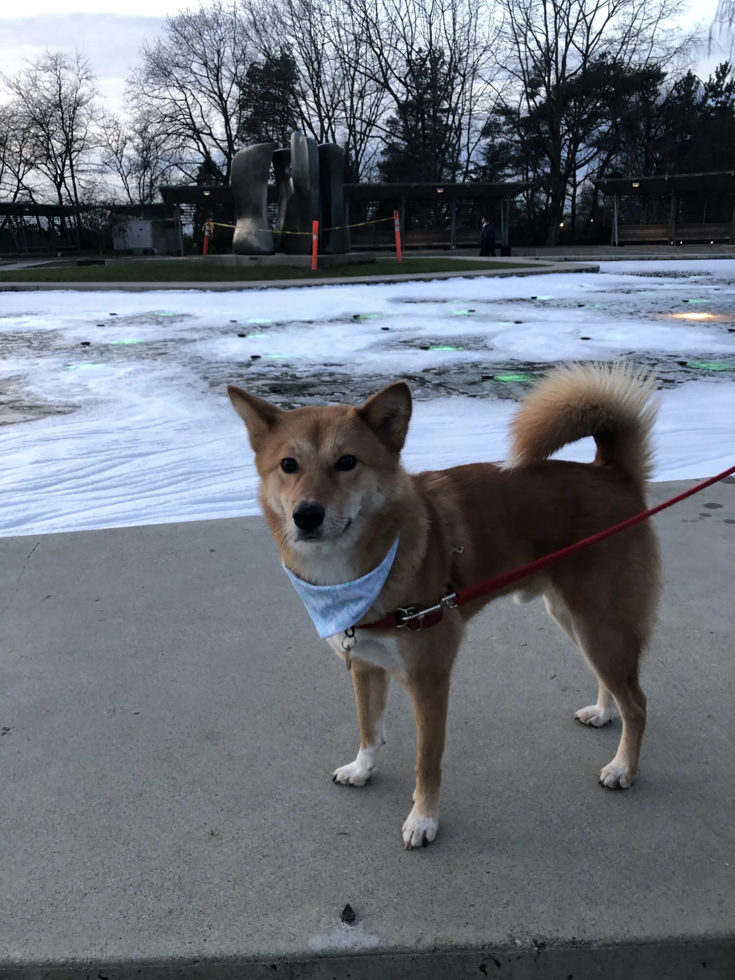 Markus posing in front of the fountain filled with bubbles at Queen Elizabeth Park
