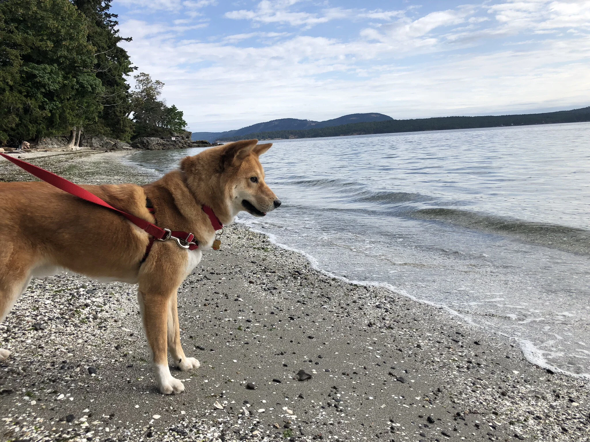 Markus enjoying the sand and pebble beach by Yeo Point