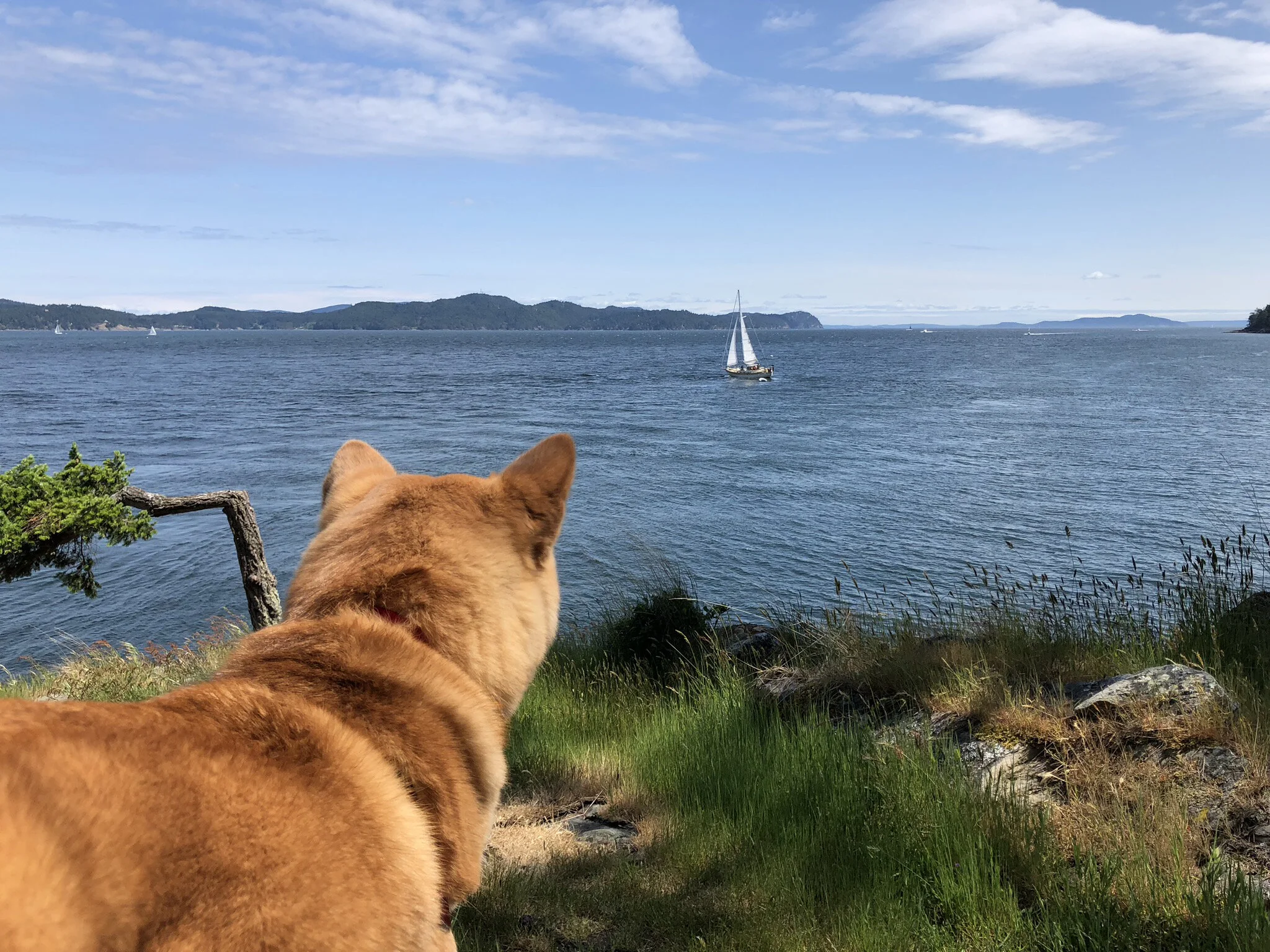Markus enjoying the views at the top of Yeo Point