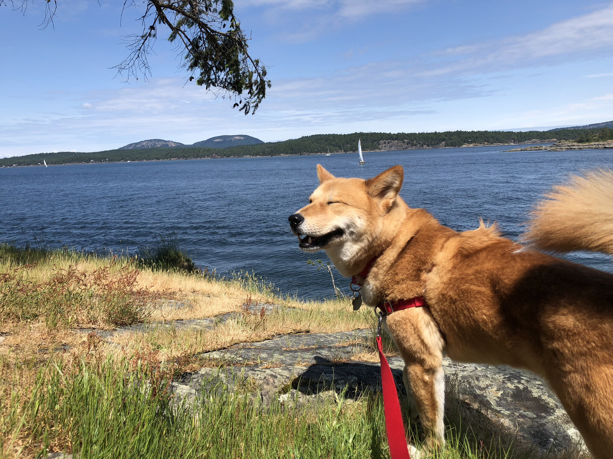 Markus smiling with the wind in his face at Yeo Point in Chris Hatfield Trail