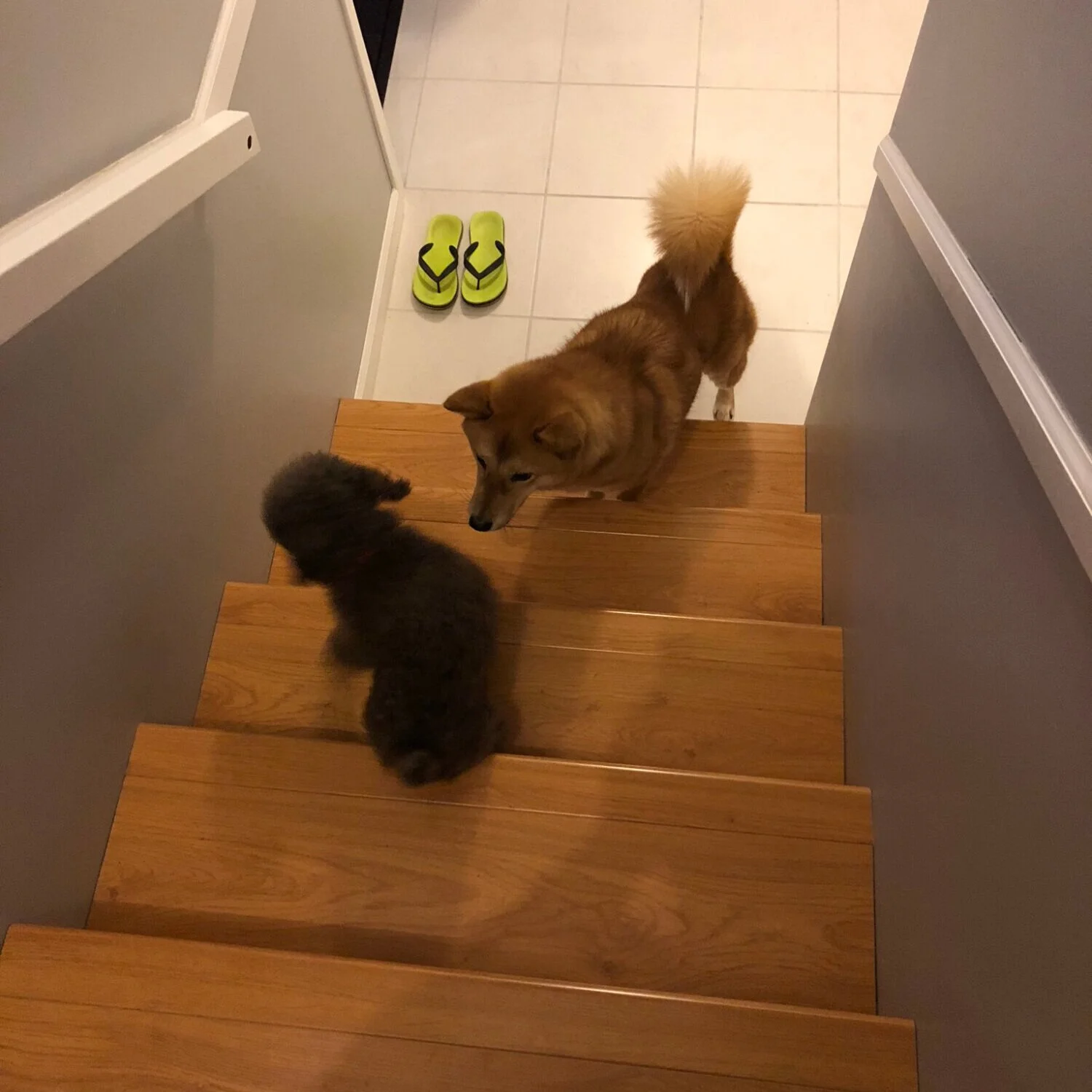 Cousin Taro teasing Markus (top) from a higher step