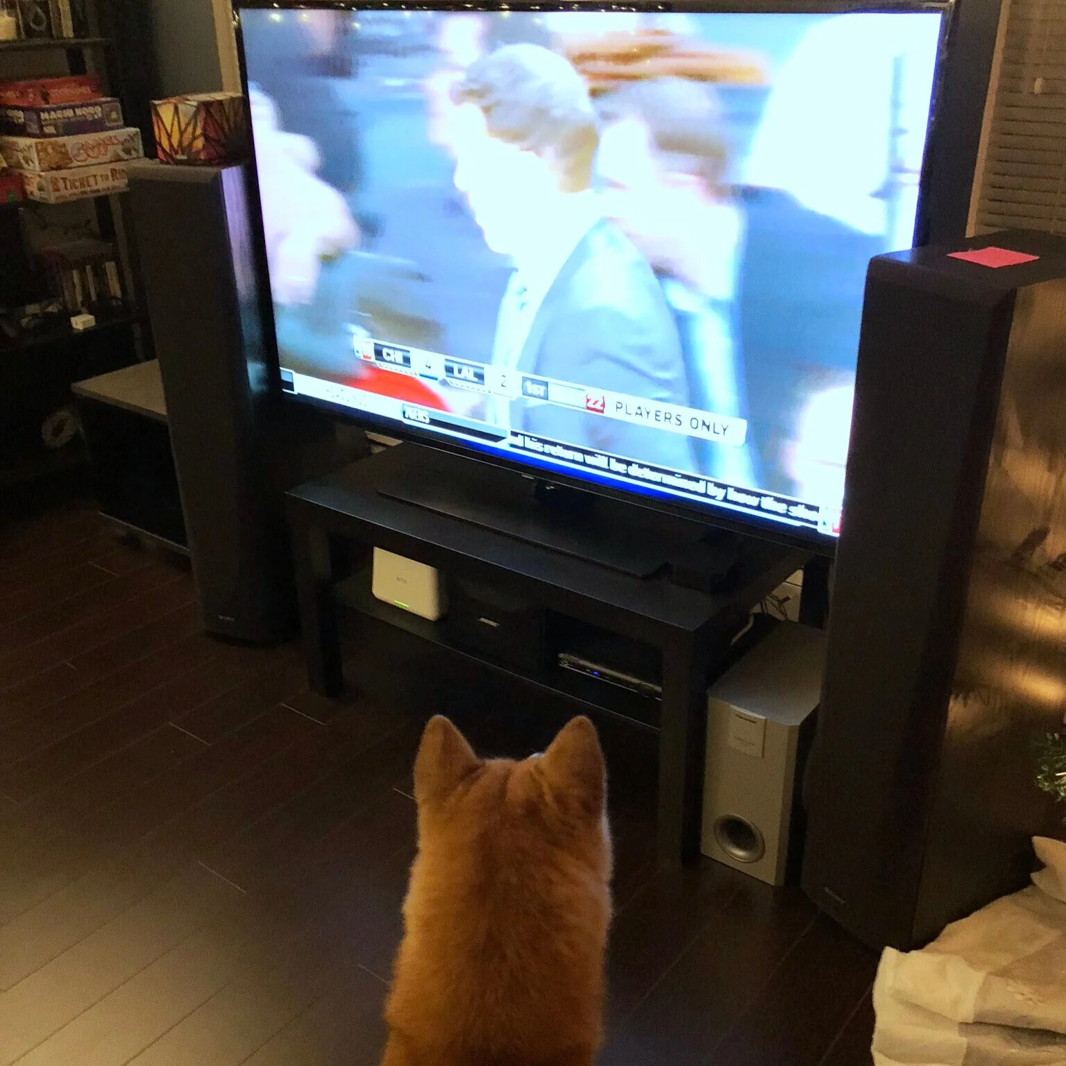 Markus watching the basketball game on TV