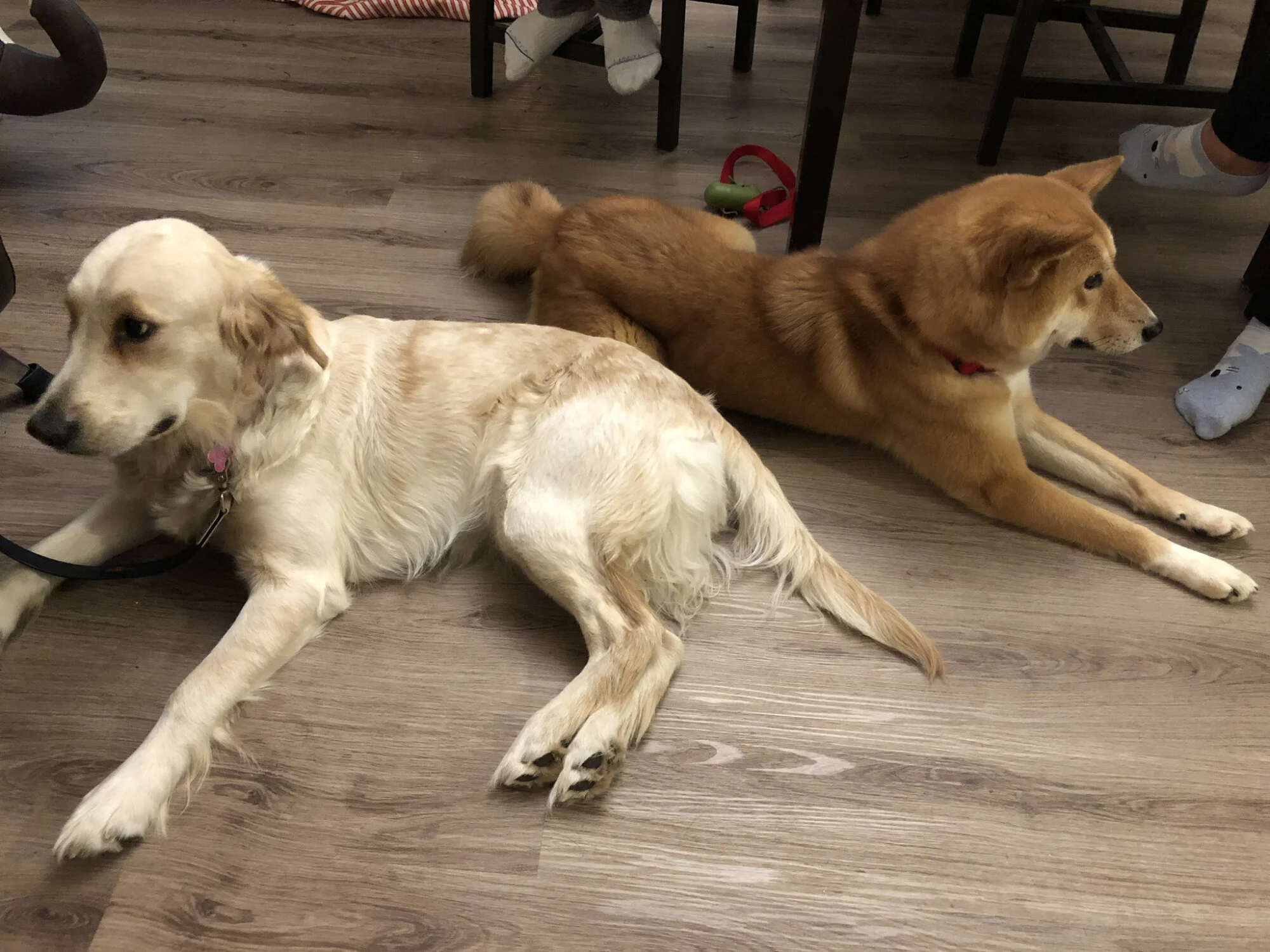 Markus (right) and his new girlfriend are already not in talking terms