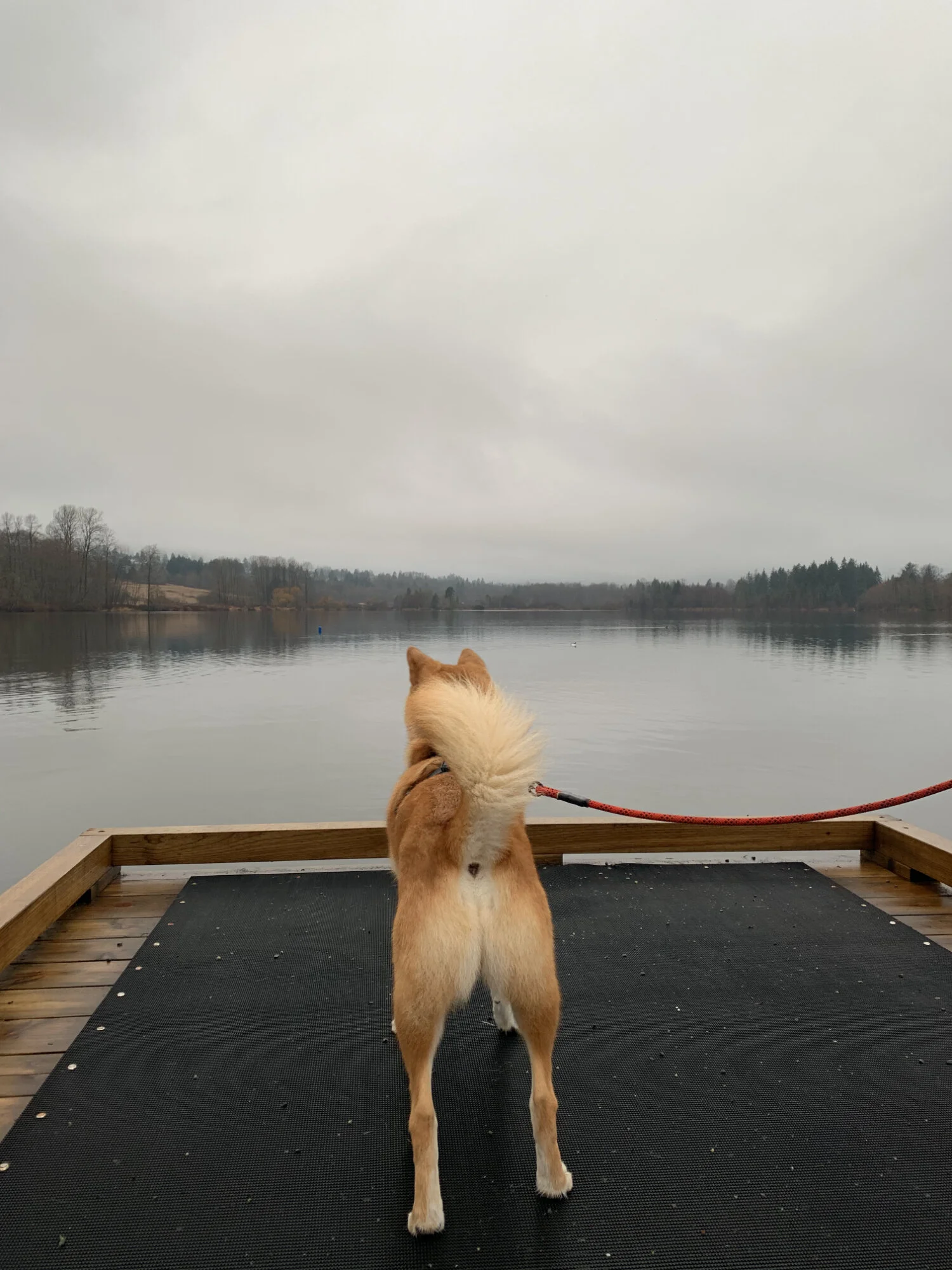 Markus overlooking Deer Lake Park in Burnaby, British Columbia